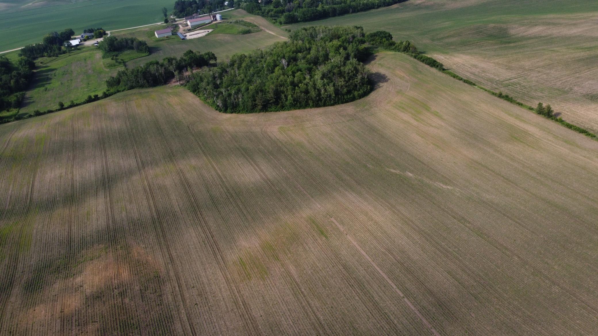 View of Land at TBD 250th st E, Hampton MN 55031, Hampton - Mike Wilen | Minnesota Team Real Estate