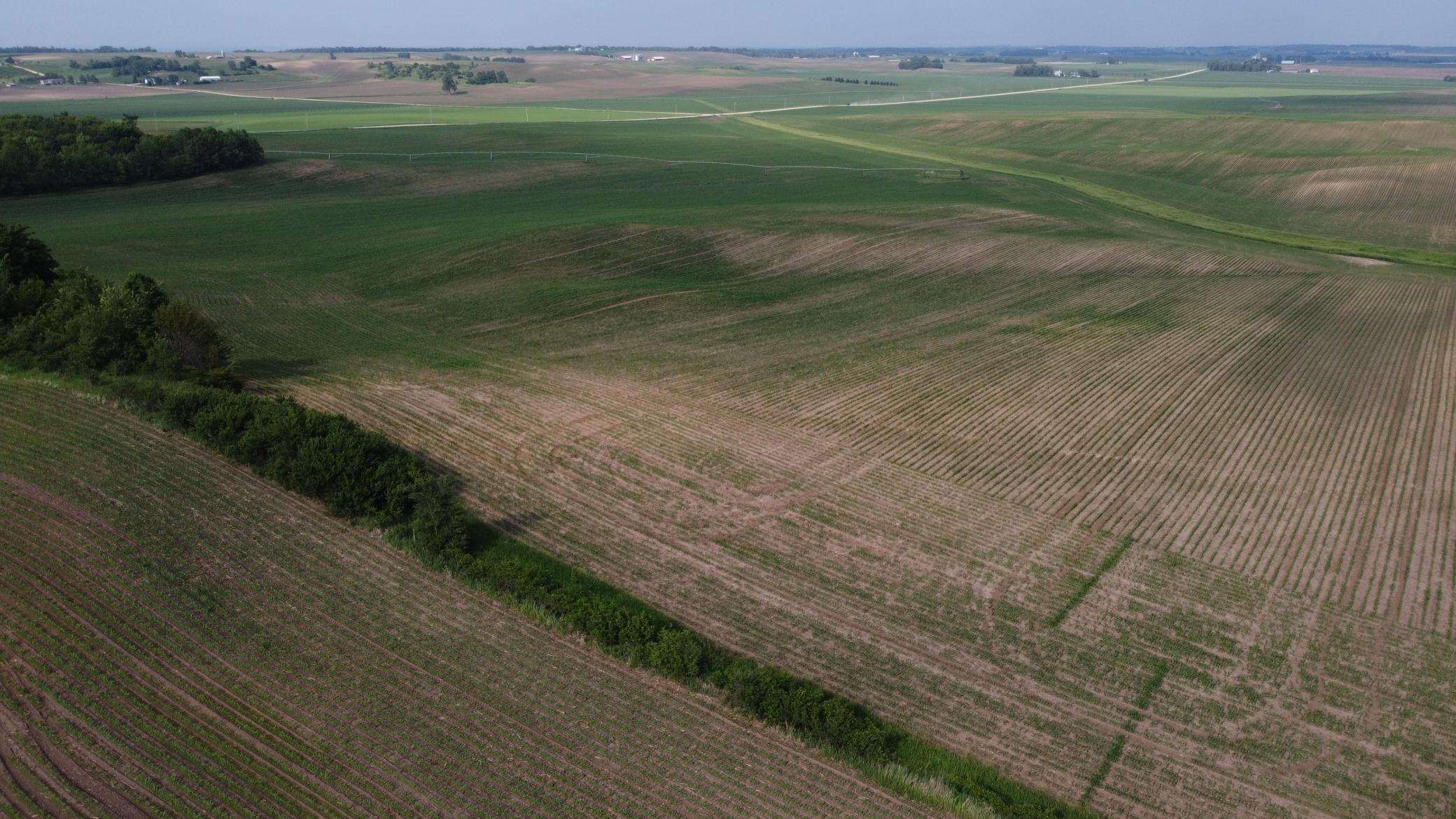 View of Land at TBD 250th st E, Hampton MN 55031, Hampton (14 of 15) - Mike Wilen | Minnesota Team Real Estate