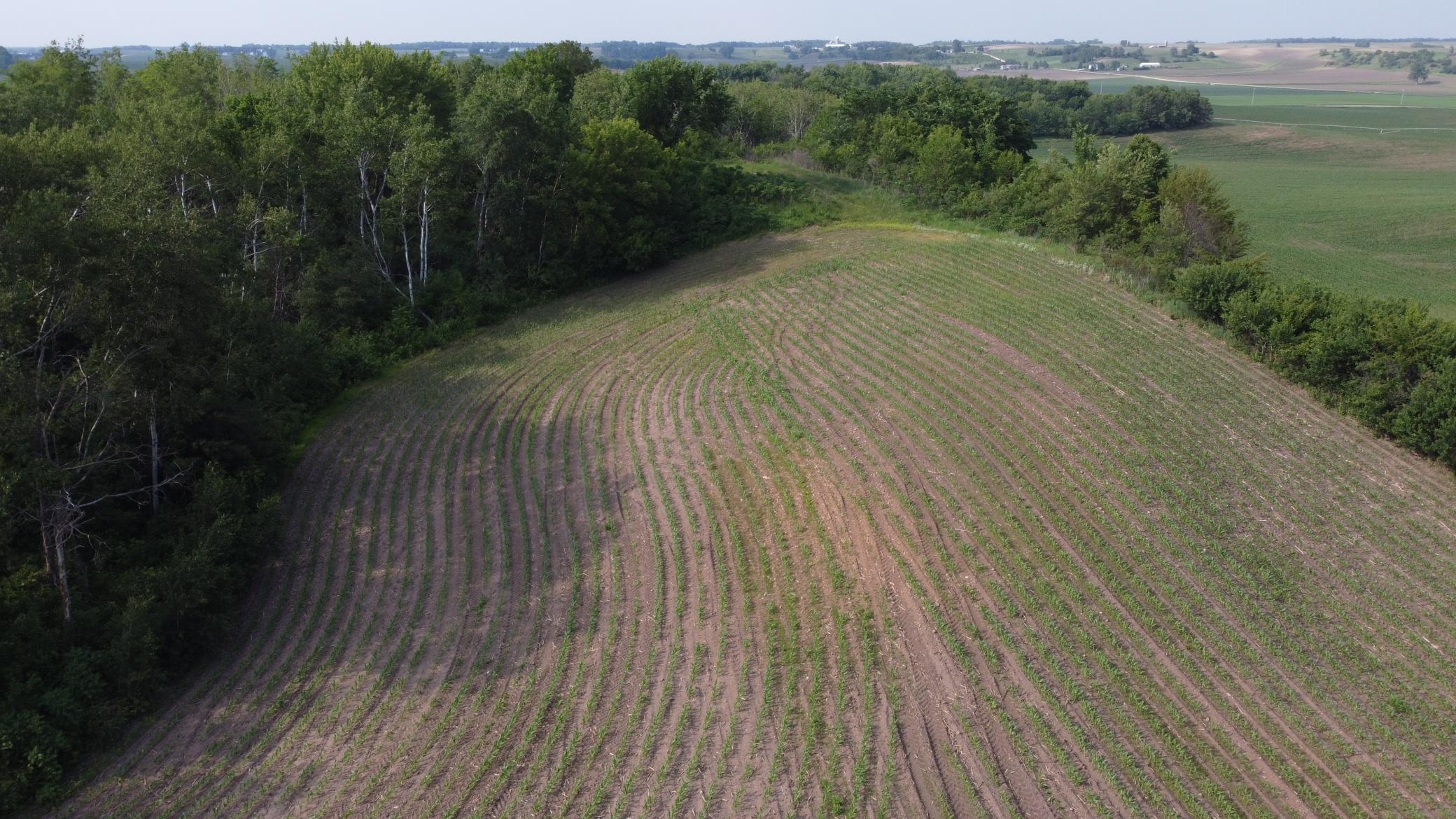 View of Land at TBD 250th st E, Hampton MN 55031, Hampton (13 of 15) - Mike Wilen | Minnesota Team Real Estate