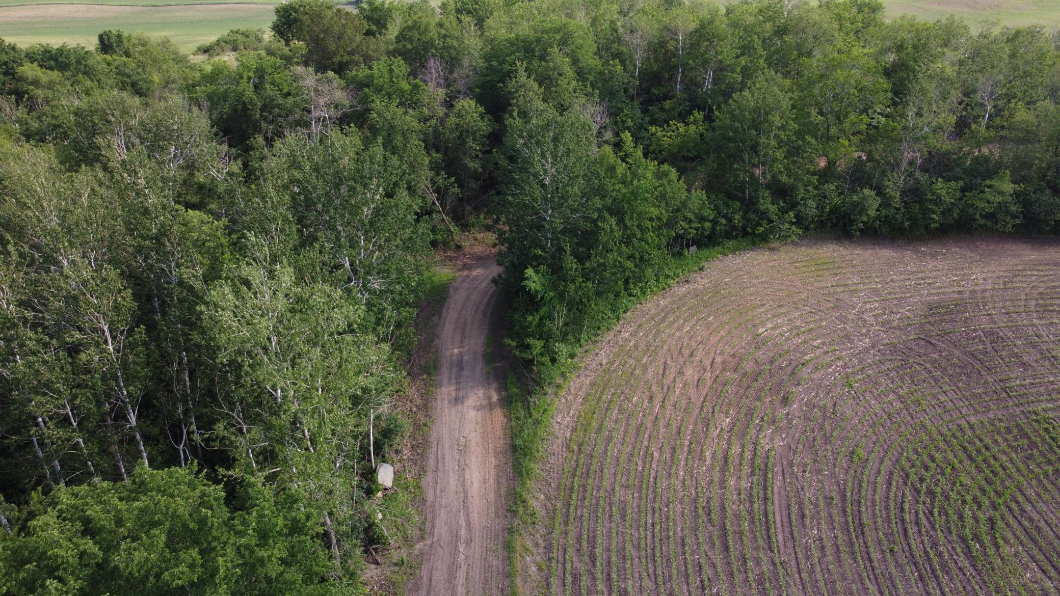View of Land at TBD 250th st E, Hampton MN 55031, Hampton (12 of 15) - Mike Wilen | Minnesota Team Real Estate