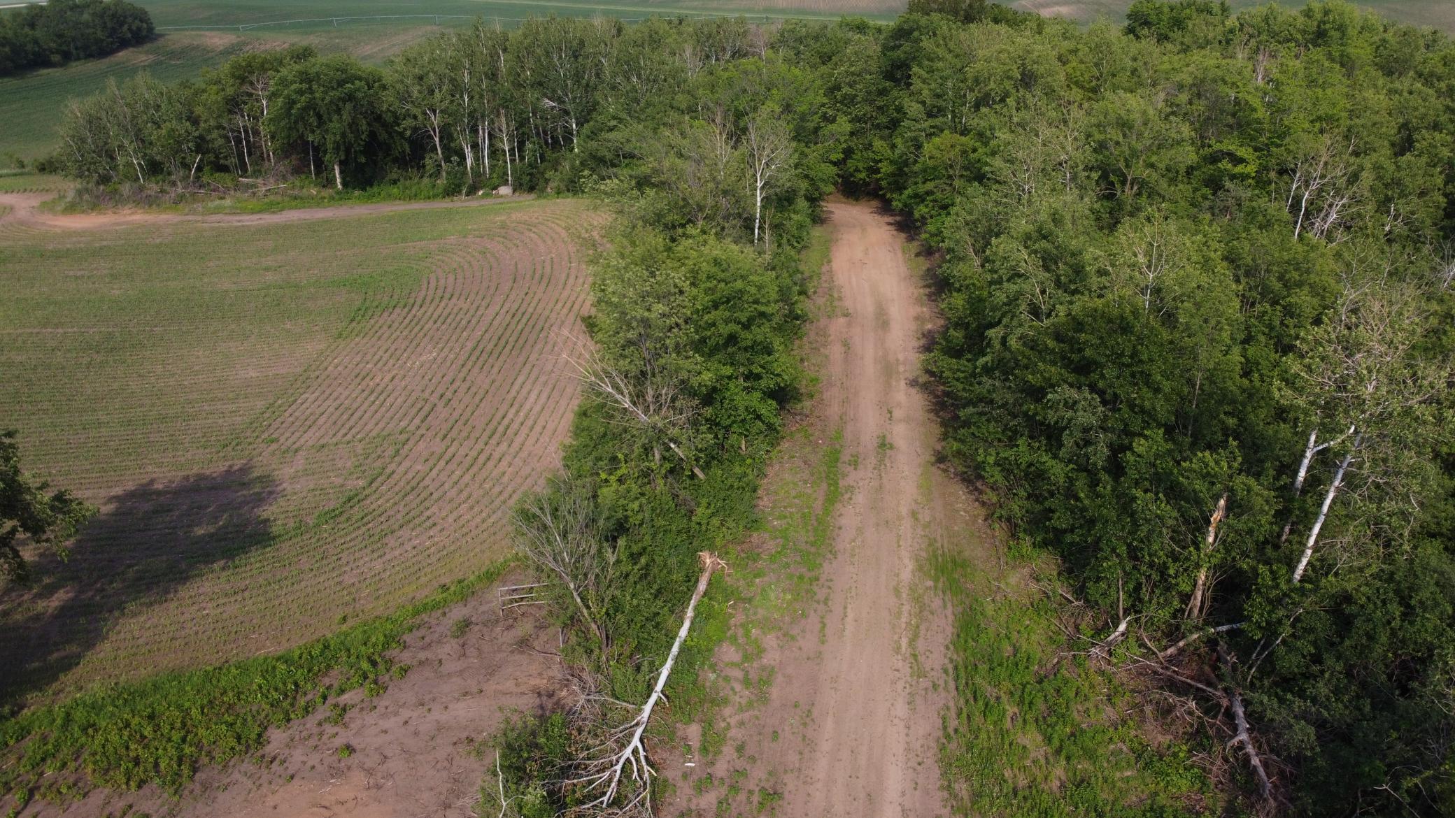 View of Land at TBD 250th st E, Hampton MN 55031, Hampton (11 of 15) - Mike Wilen | Minnesota Team Real Estate