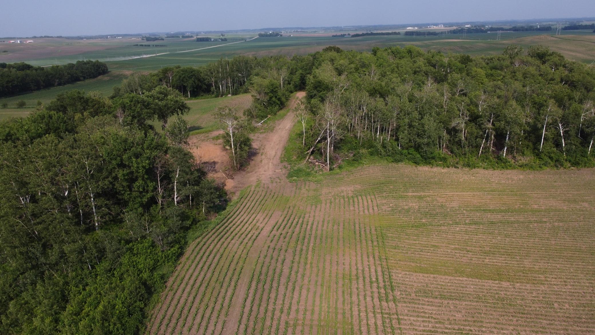 View of Land at TBD 250th st E, Hampton MN 55031, Hampton (10 of 15) - Mike Wilen | Minnesota Team Real Estate