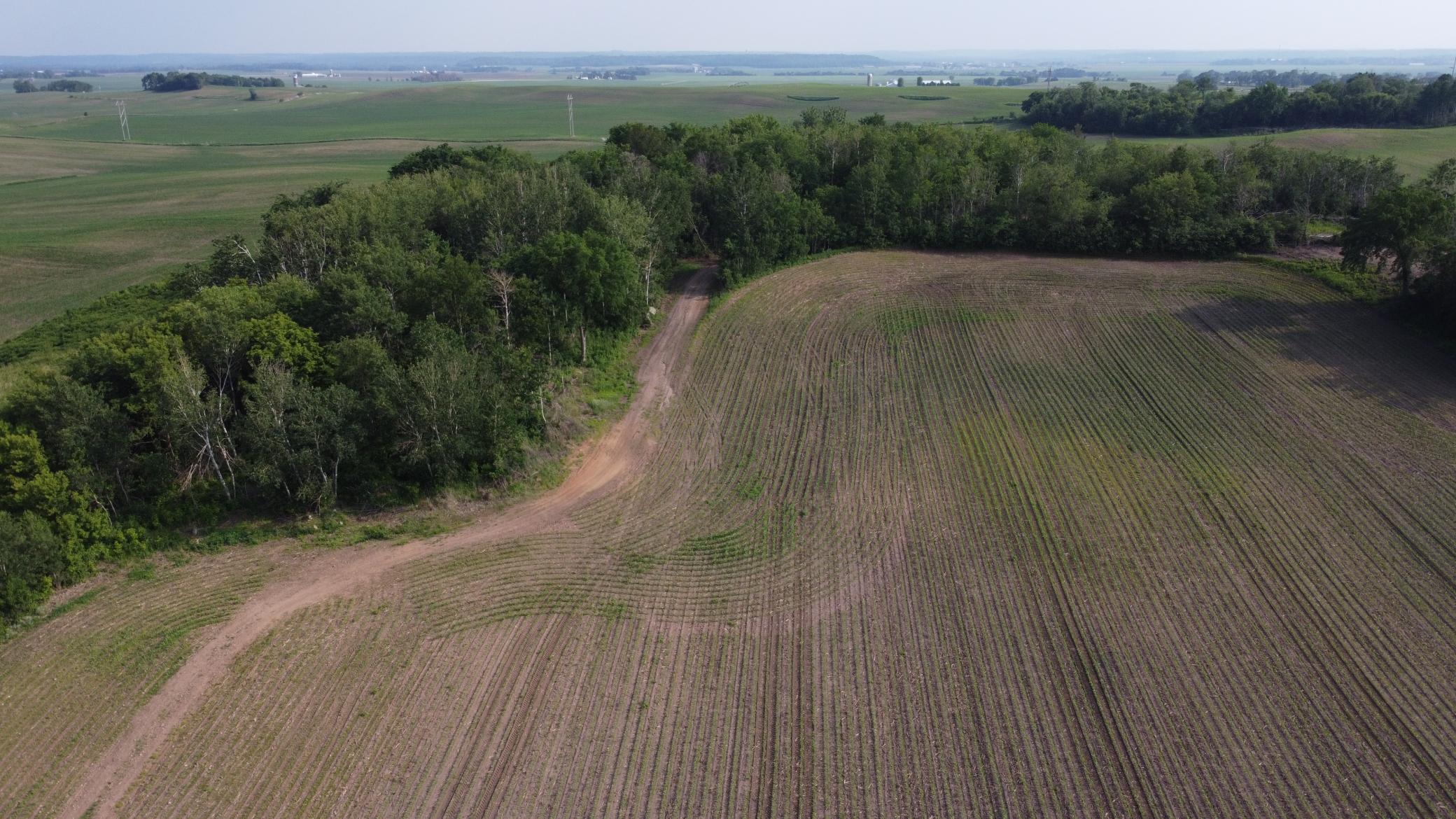 View of Land at TBD 250th st E, Hampton MN 55031, Hampton (9 of 15) - Mike Wilen | Minnesota Team Real Estate