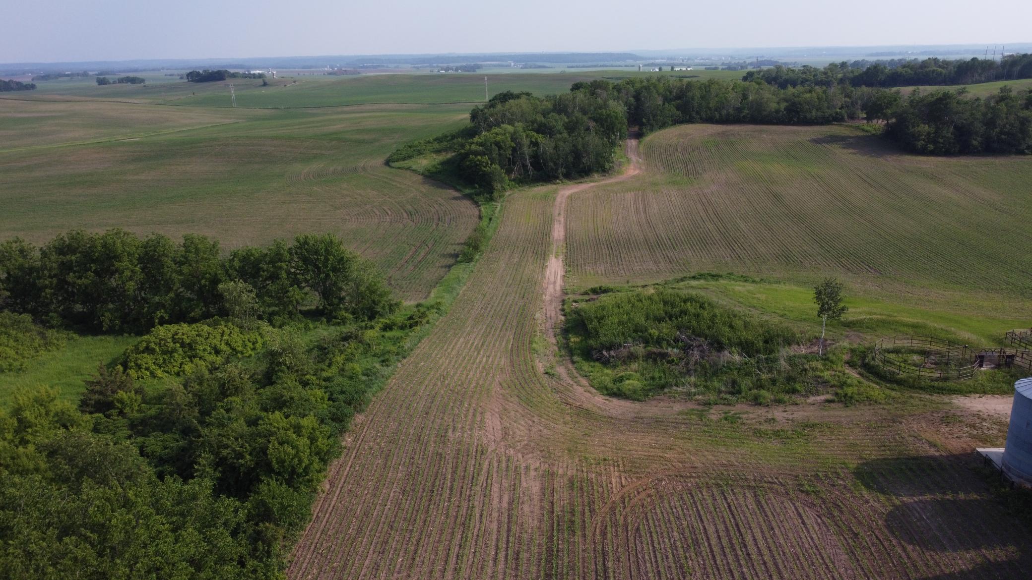 View of Land at TBD 250th st E, Hampton MN 55031, Hampton (8 of 15) - Mike Wilen | Minnesota Team Real Estate
