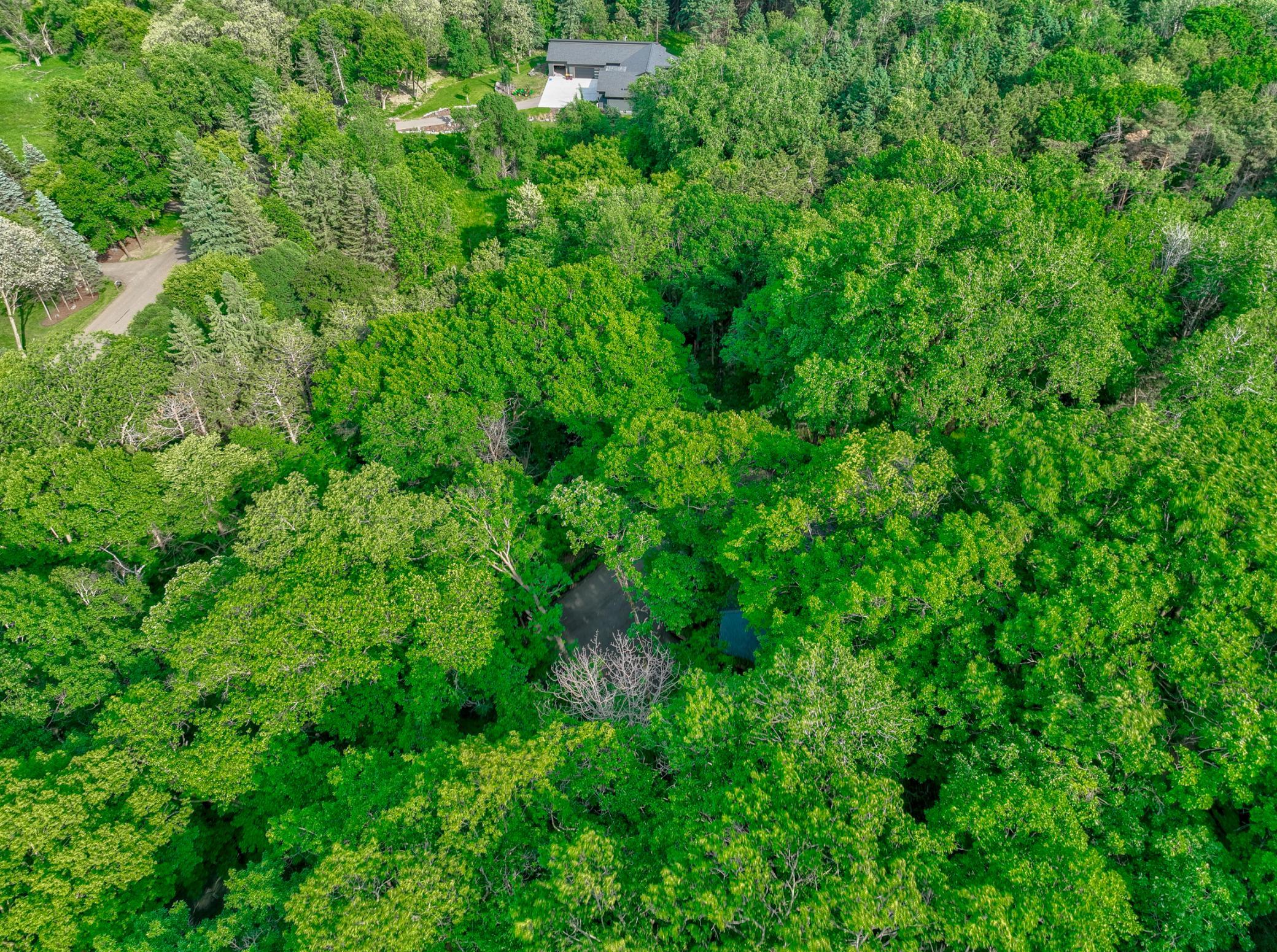 View of Residential at 15511 Afton Hills Drive, Afton MN 55001, Afton (54 of 62) - Mike Wilen | Minnesota Team Real Estate