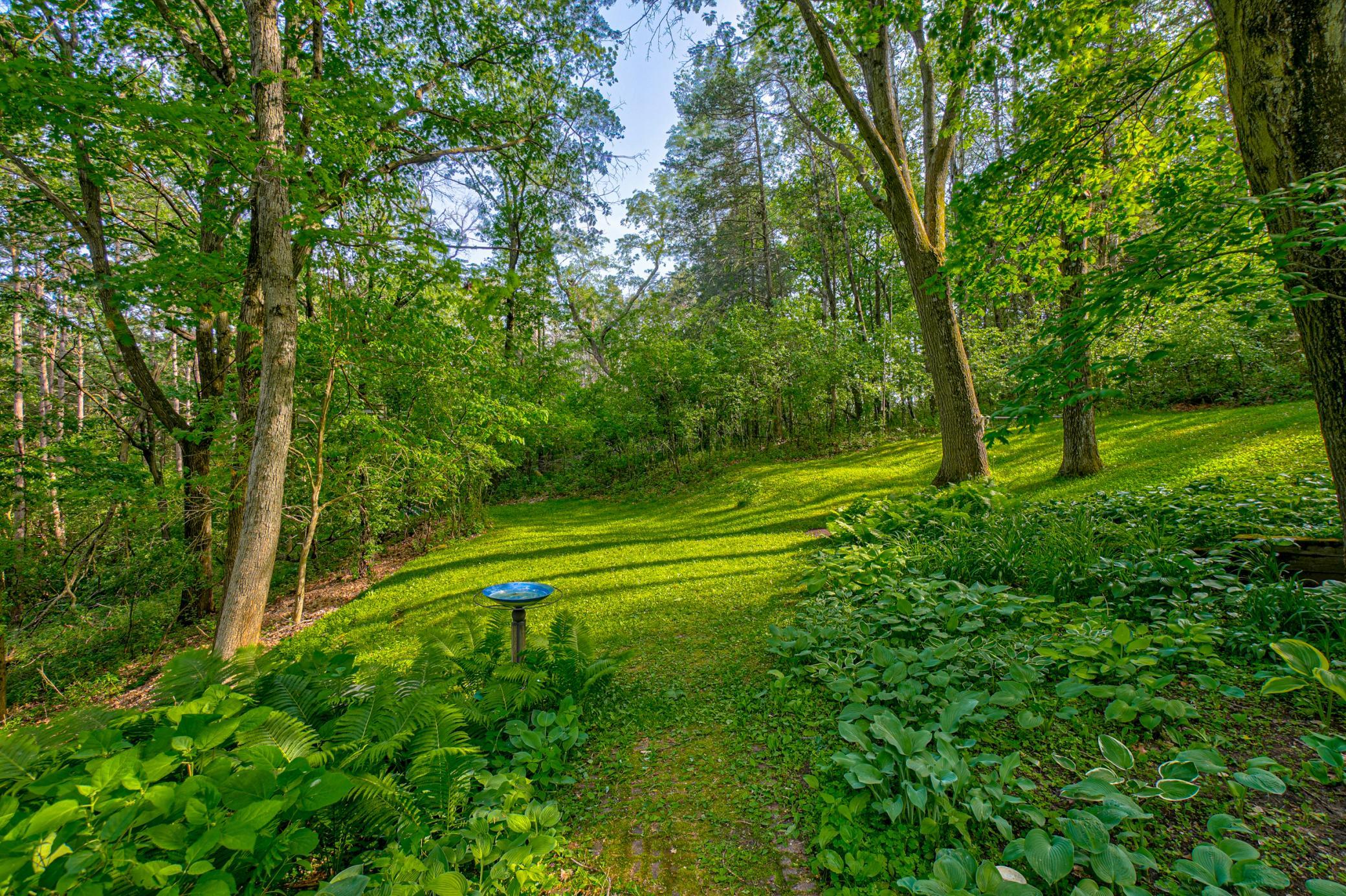 View of Residential at 15511 Afton Hills Drive, Afton MN 55001, Afton (3 of 62) - Mike Wilen | Minnesota Team Real Estate