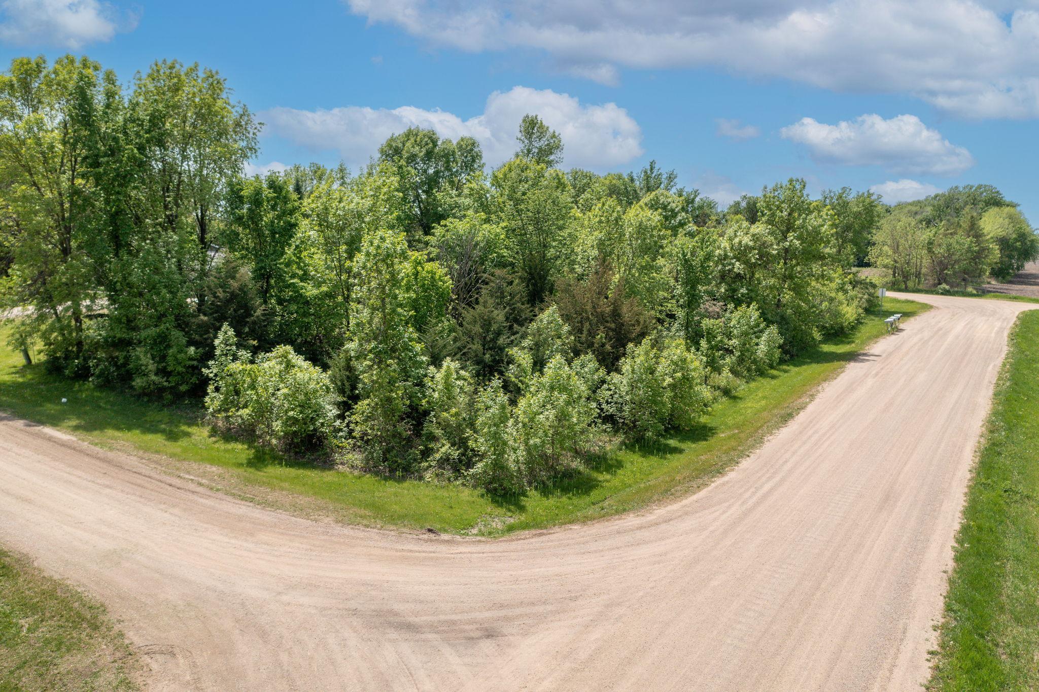 View of Land at XXX Woodview Lane, Le Center MN 56057, Le Center (5 of 15) - Mike Wilen | Minnesota Team Real Estate