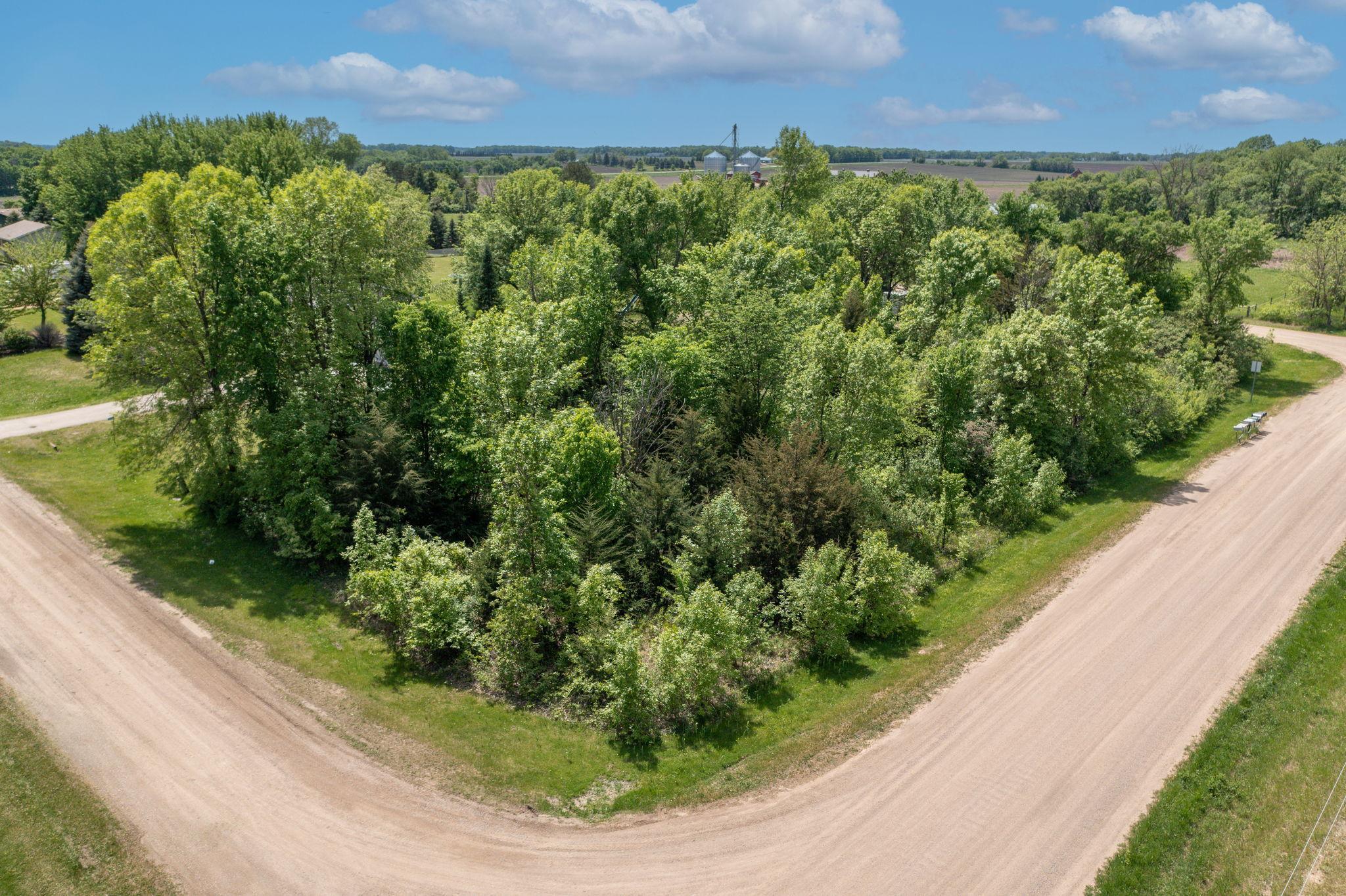 View of Land at XXX Woodview Lane, Le Center MN 56057, Le Center (4 of 15) - Mike Wilen | Minnesota Team Real Estate
