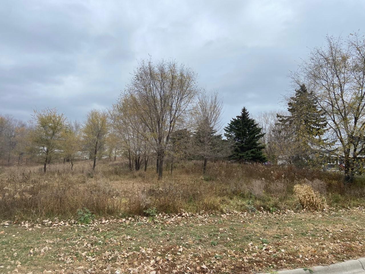 View of Land at TBD 65th Street, Inver Grove Heights MN 55076, Inver Grove Heights (5 of 11) - Mike Wilen | Minnesota Team Real Estate