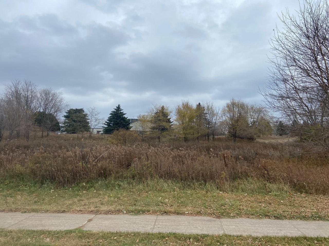 View of Land at TBD 65th Street, Inver Grove Heights MN 55076, Inver Grove Heights (8 of 11) - Mike Wilen | Minnesota Team Real Estate