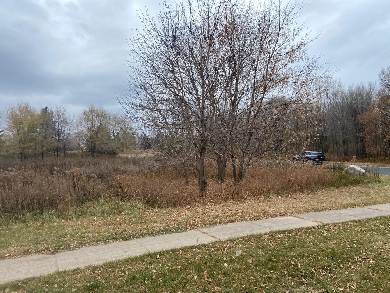 View of Land at TBD 65th Street, Inver Grove Heights MN 55076, Inver Grove Heights (9 of 11) - Mike Wilen | Minnesota Team Real Estate