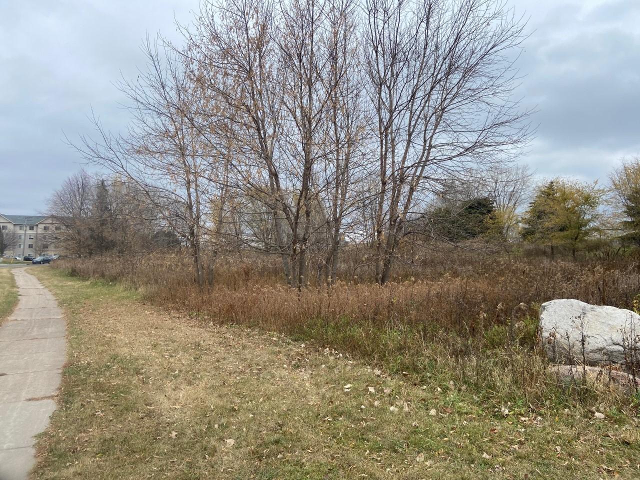 View of Land at TBD 65th Street, Inver Grove Heights MN 55076, Inver Grove Heights (10 of 11) - Mike Wilen | Minnesota Team Real Estate