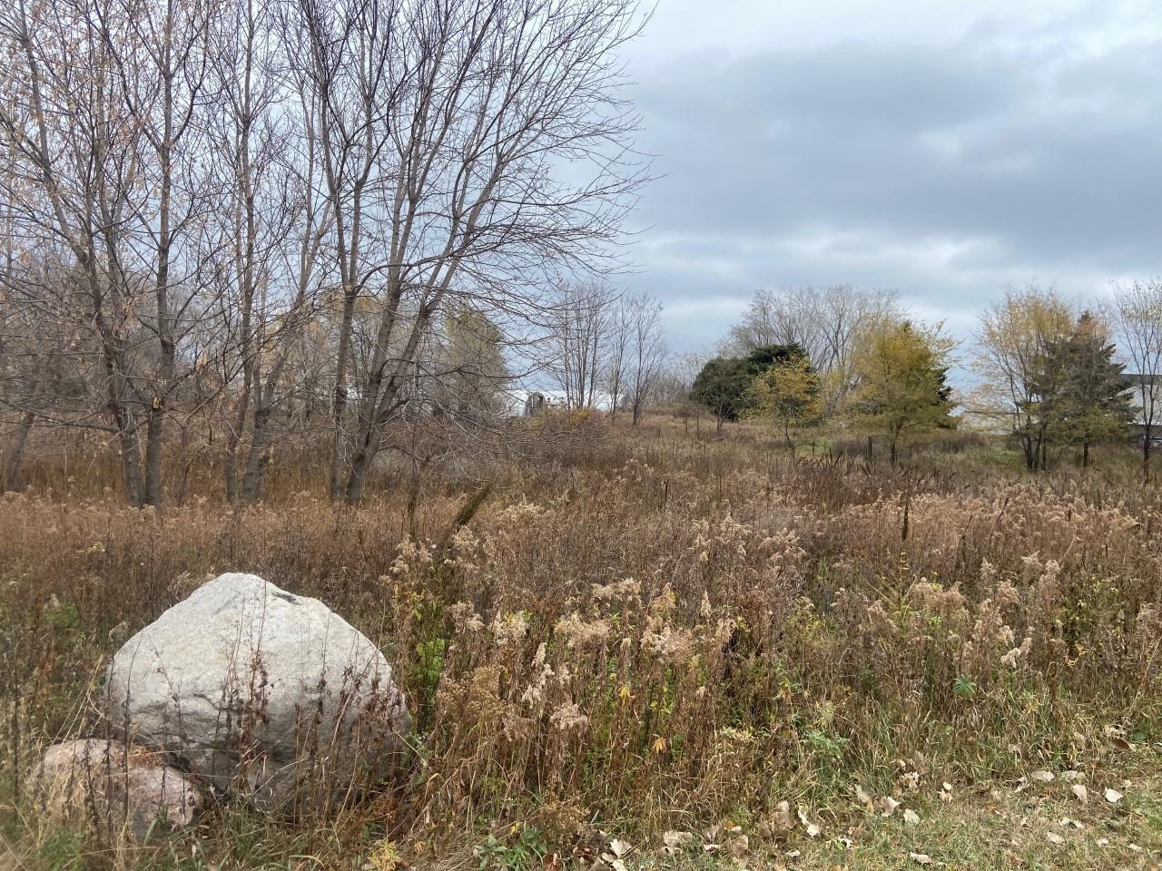 View of Land at TBD 65th Street, Inver Grove Heights MN 55076, Inver Grove Heights (11 of 11) - Mike Wilen | Minnesota Team Real Estate