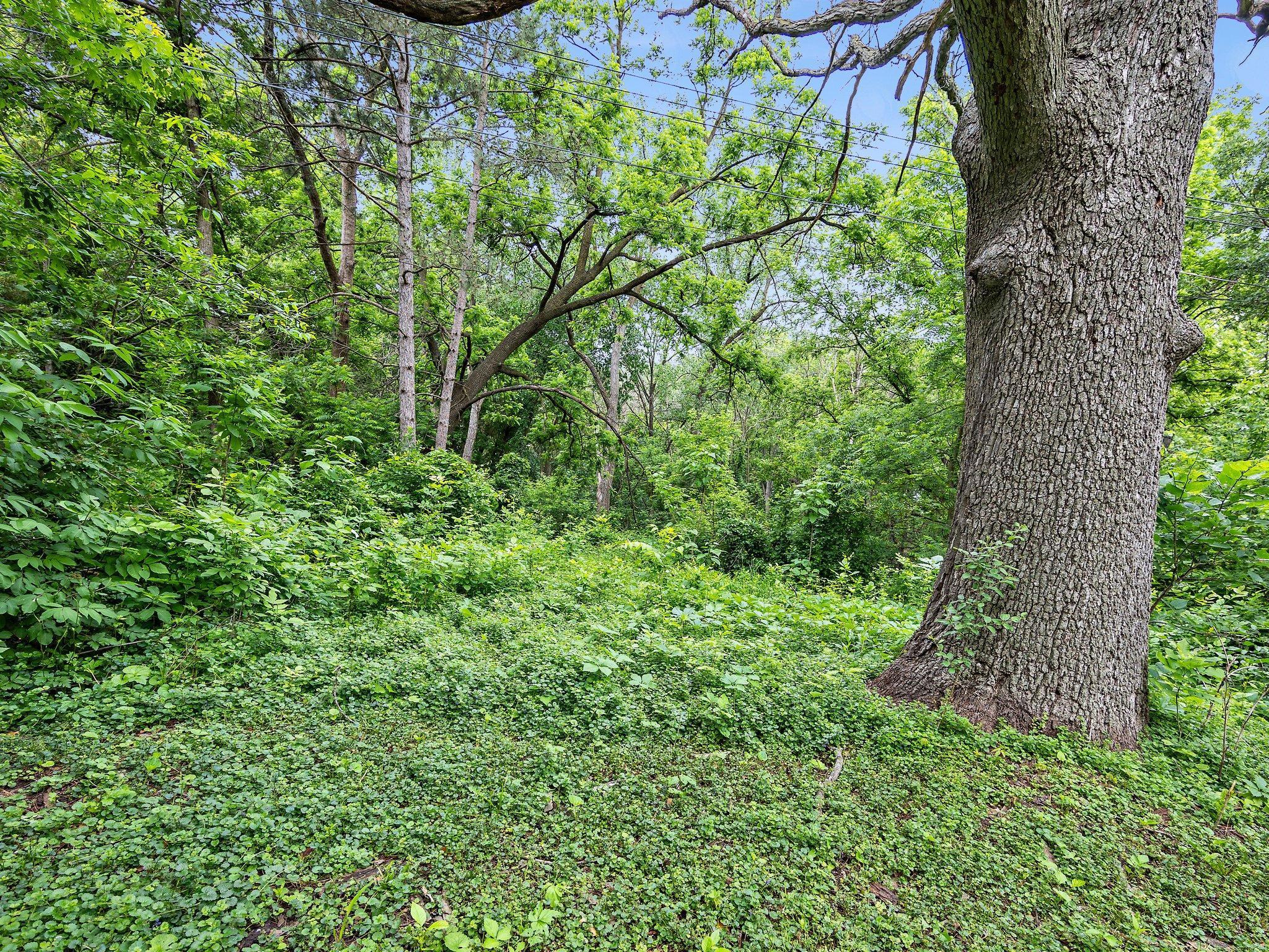 View of Land at 935 Kennard Street, Saint Paul MN 55106, Saint Paul (13 of 15) - Mike Wilen | Minnesota Team Real Estate