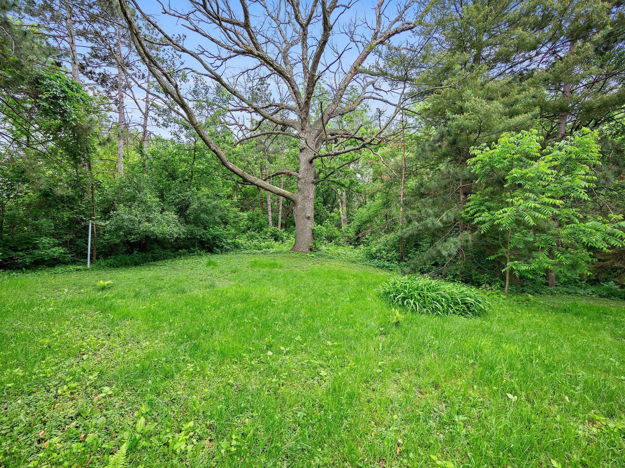 View of Land at 935 Kennard Street, Saint Paul MN 55106, Saint Paul (14 of 15) - Mike Wilen | Minnesota Team Real Estate