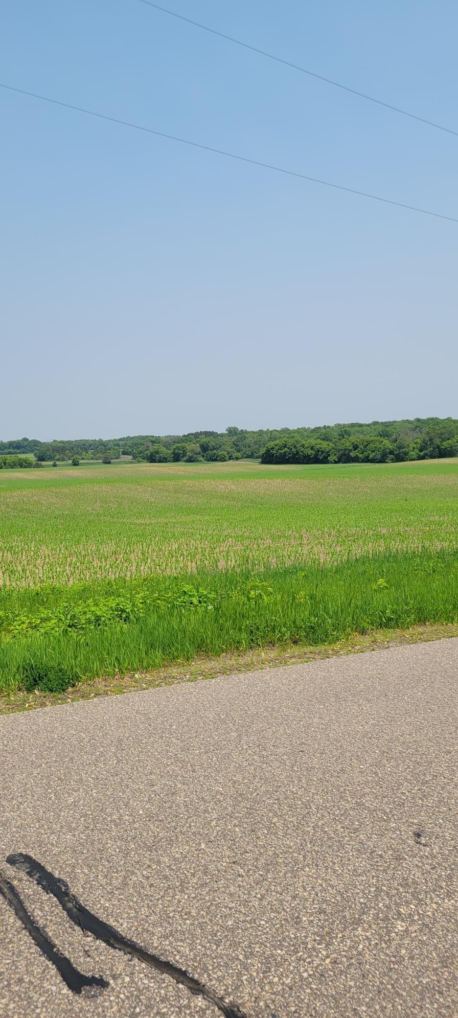 View of Land at TBD 15th Street, Afton MN 55001, Afton - Mike Wilen | Minnesota Team Real Estate