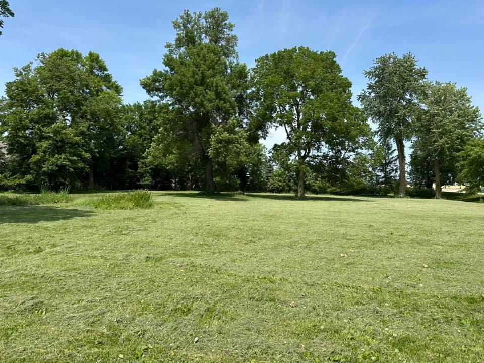 View of Land at 29281 Biehn Drive, Madison Lake MN 56063, Madison Lake (5 of 8) - Mike Wilen | Minnesota Team Real Estate