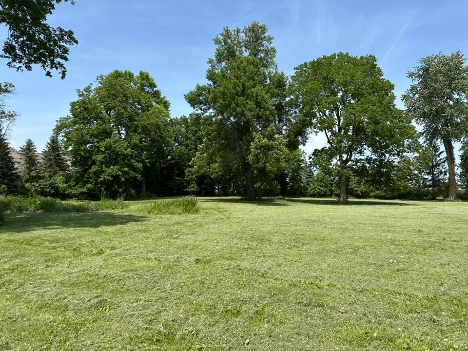 View of Land at 29281 Biehn Drive, Madison Lake MN 56063, Madison Lake (4 of 8) - Mike Wilen | Minnesota Team Real Estate