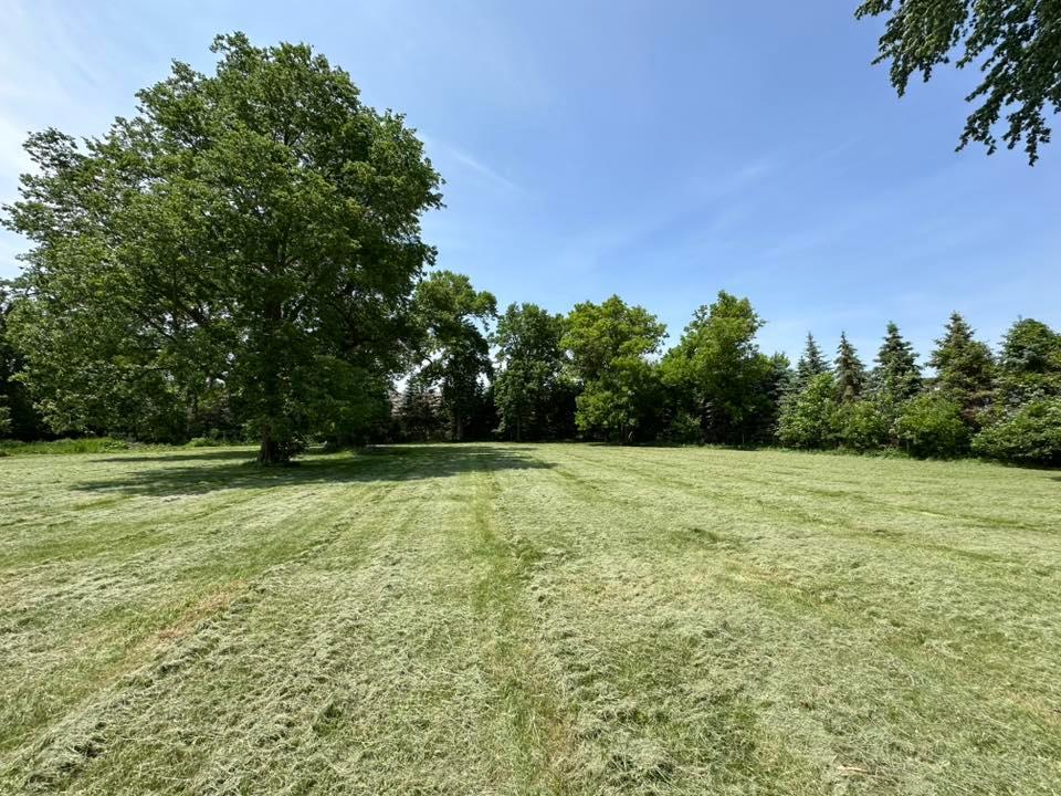 View of Land at 29281 Biehn Drive, Madison Lake MN 56063, Madison Lake (2 of 8) - Mike Wilen | Minnesota Team Real Estate