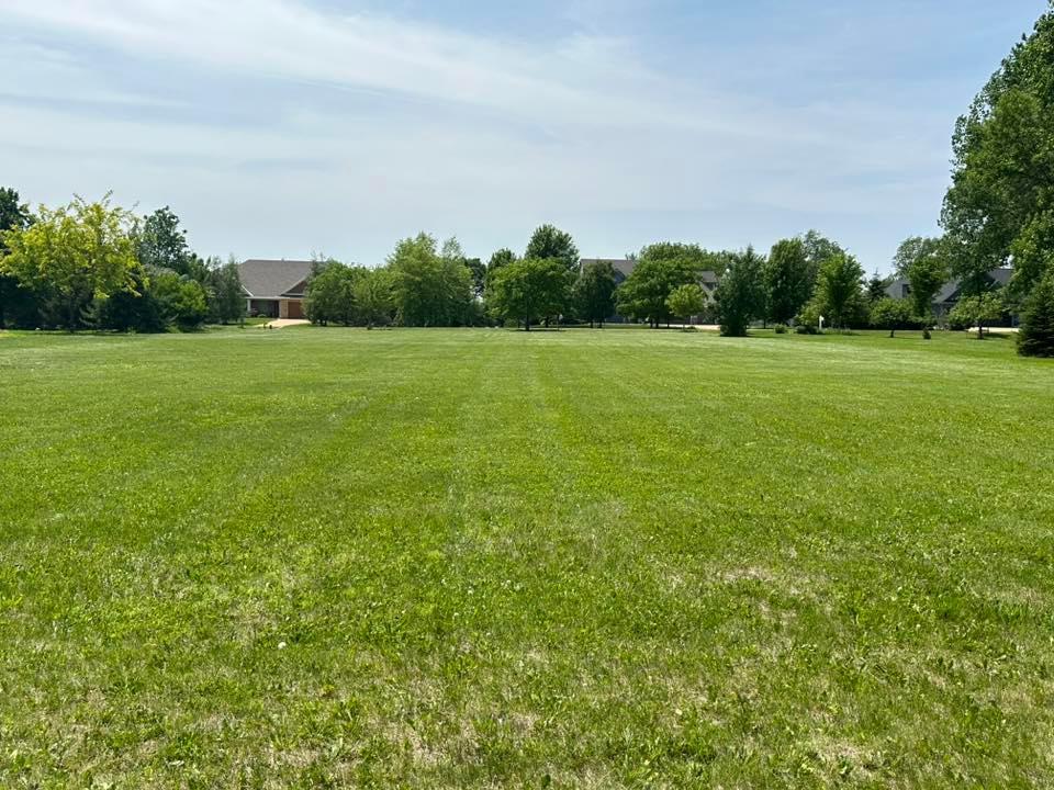 View of Land at 29172 Biehn Drive, Madison Lake MN 56063, Madison Lake (5 of 5) - Mike Wilen | Minnesota Team Real Estate