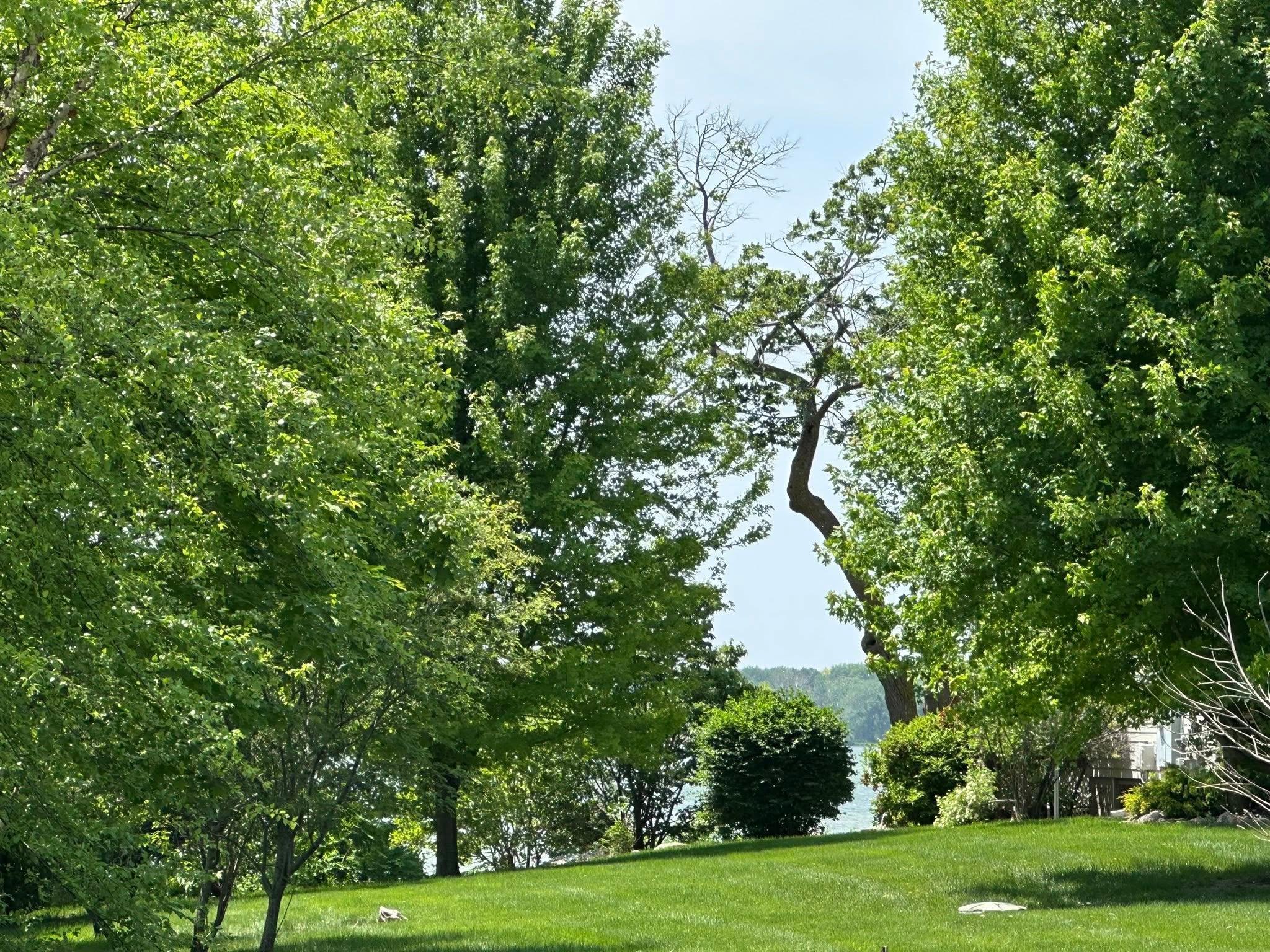 View of Land at 29172 Biehn Drive, Madison Lake MN 56063, Madison Lake (3 of 5) - Mike Wilen | Minnesota Team Real Estate