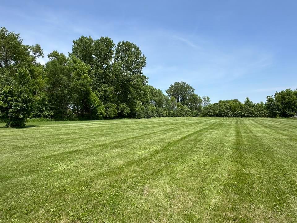 View of Land at 29172 Biehn Drive, Madison Lake MN 56063, Madison Lake (2 of 5) - Mike Wilen | Minnesota Team Real Estate