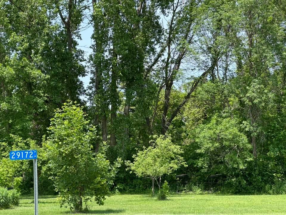 View of Land at 29172 Biehn Drive, Madison Lake - Mike Wilen | Minnesota Team Real Estate
