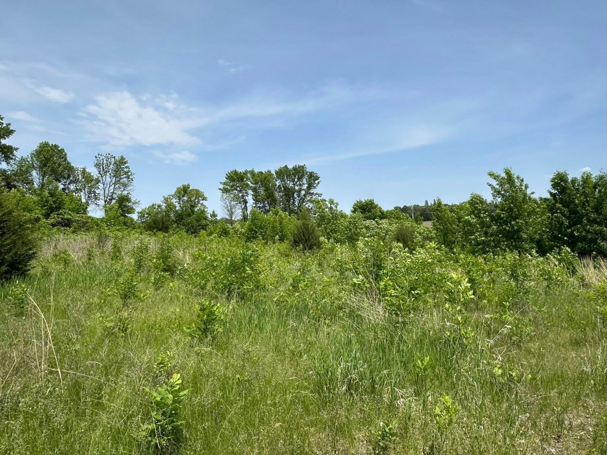 View of Land at 29036 Biehn Drive, Madison Lake MN 56063, Madison Lake (6 of 6) - Mike Wilen | Minnesota Team Real Estate