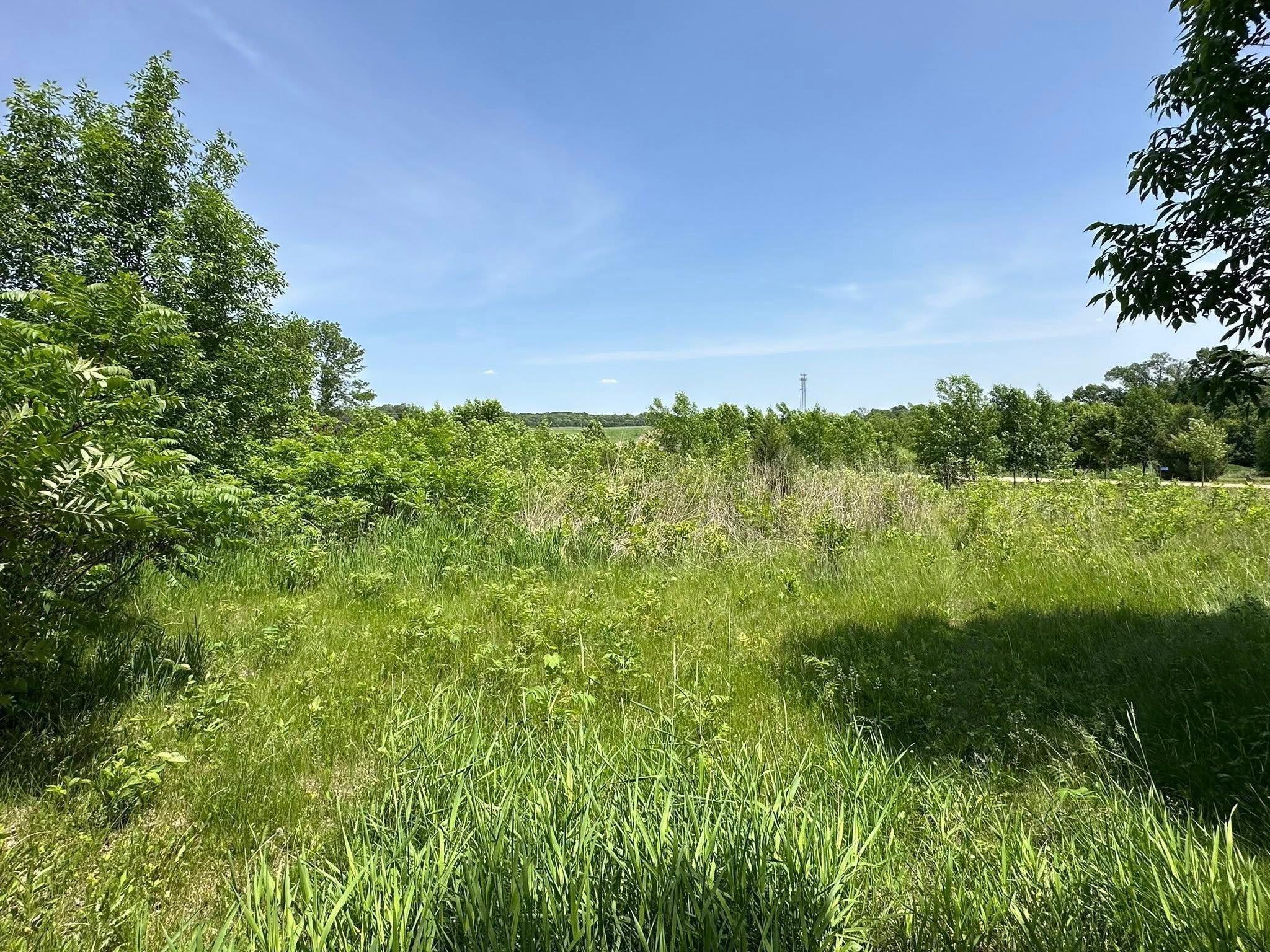 View of Land at 29036 Biehn Drive, Madison Lake MN 56063, Madison Lake (5 of 6) - Mike Wilen | Minnesota Team Real Estate