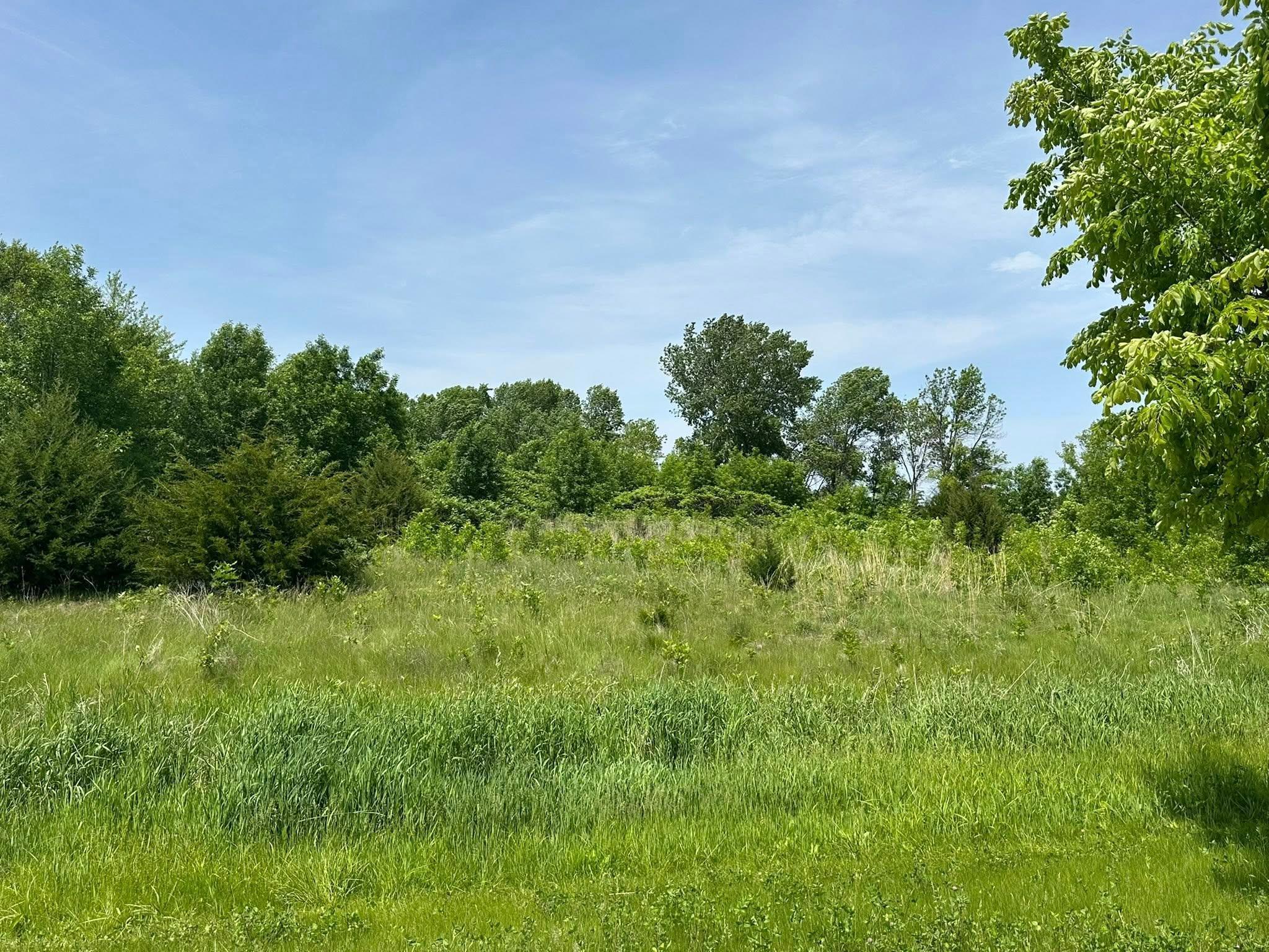 View of Land at 29036 Biehn Drive, Madison Lake MN 56063, Madison Lake (4 of 6) - Mike Wilen | Minnesota Team Real Estate