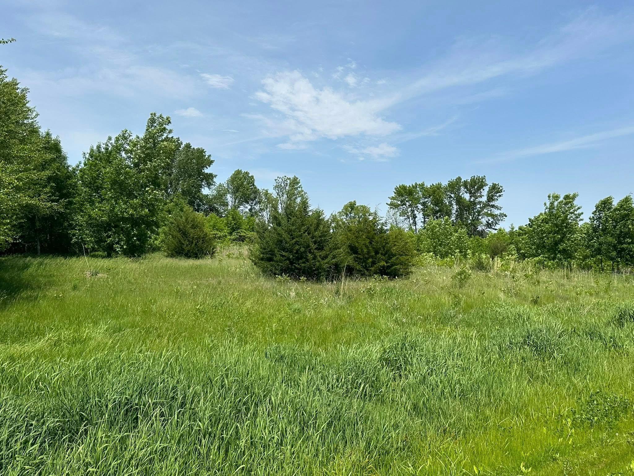 View of Land at 29036 Biehn Drive, Madison Lake MN 56063, Madison Lake (3 of 6) - Mike Wilen | Minnesota Team Real Estate