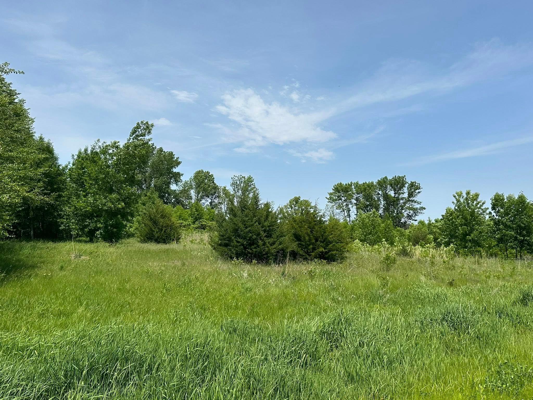 View of Land at 29036 Biehn Drive, Madison Lake MN 56063, Madison Lake (2 of 6) - Mike Wilen | Minnesota Team Real Estate