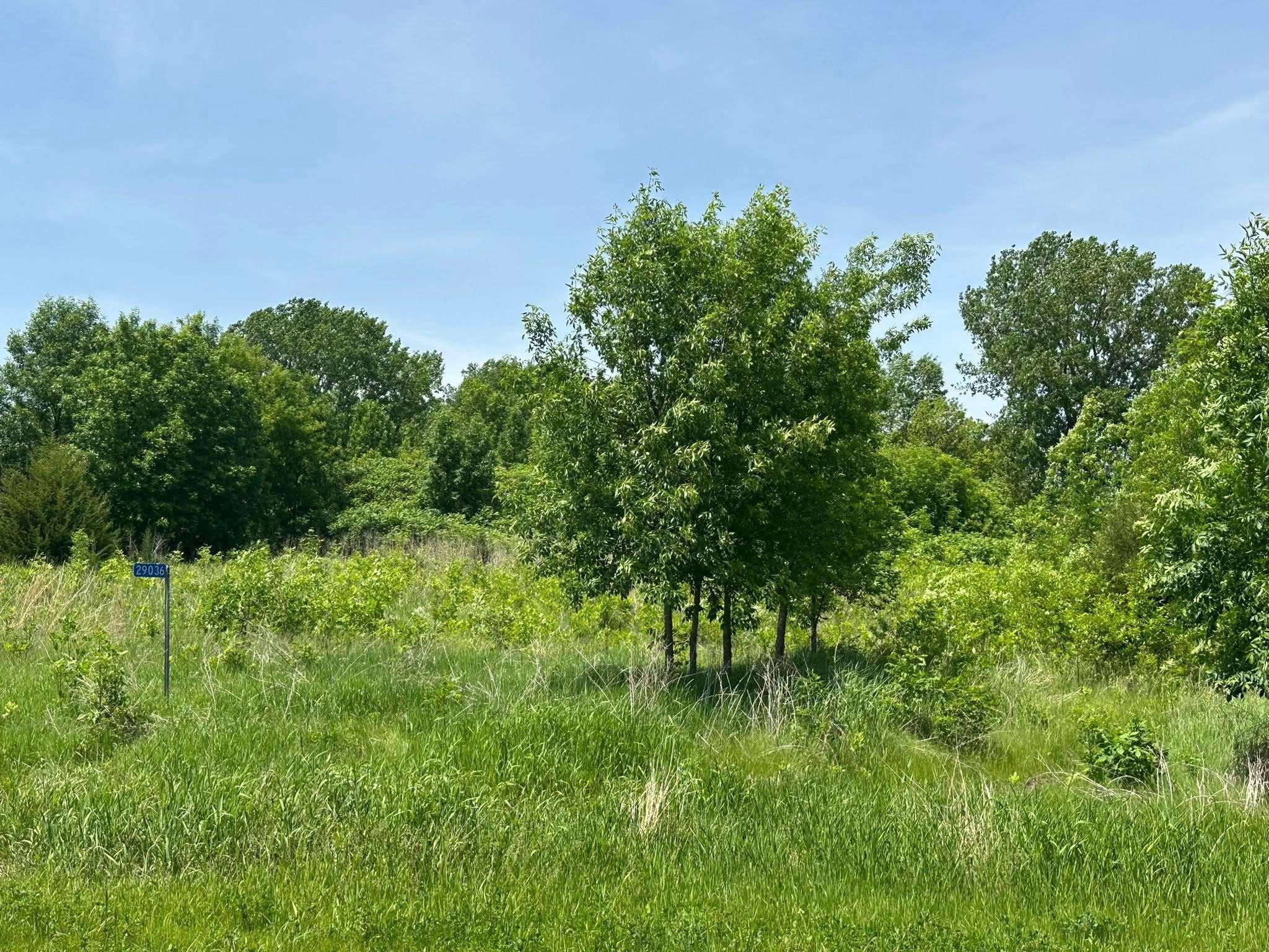 View of Land at 29036 Biehn Drive, Madison Lake MN 56063, Madison Lake - Mike Wilen | Minnesota Team Real Estate