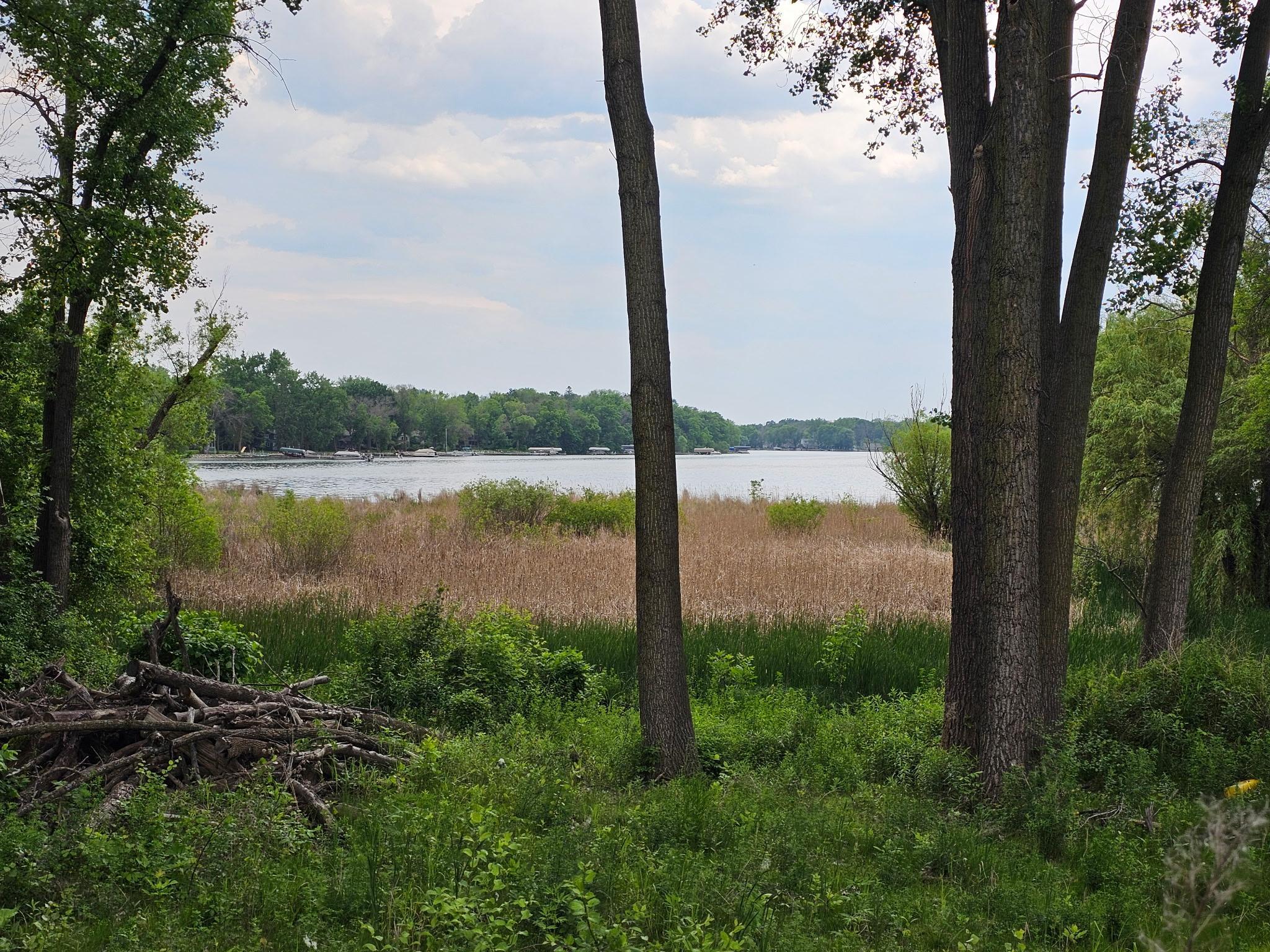 View of Land at 5XXXX 220th Street, Forest Lake MN 55025, Forest Lake - Mike Wilen | Minnesota Team Real Estate