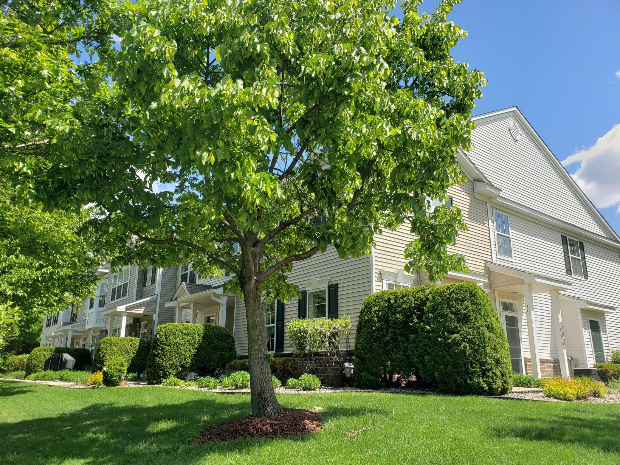 View of Residential at 10794 Hawthorn Trail #A, Woodbury MN 55129, Woodbury - Mike Wilen | Minnesota Team Real Estate