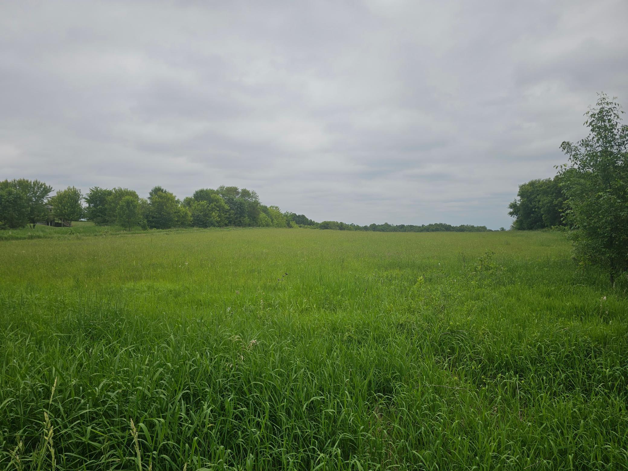 View of Land at 42xx 405th Avenue, Stanchfield MN 55080, Stanchfield - Mike Wilen | Minnesota Team Real Estate