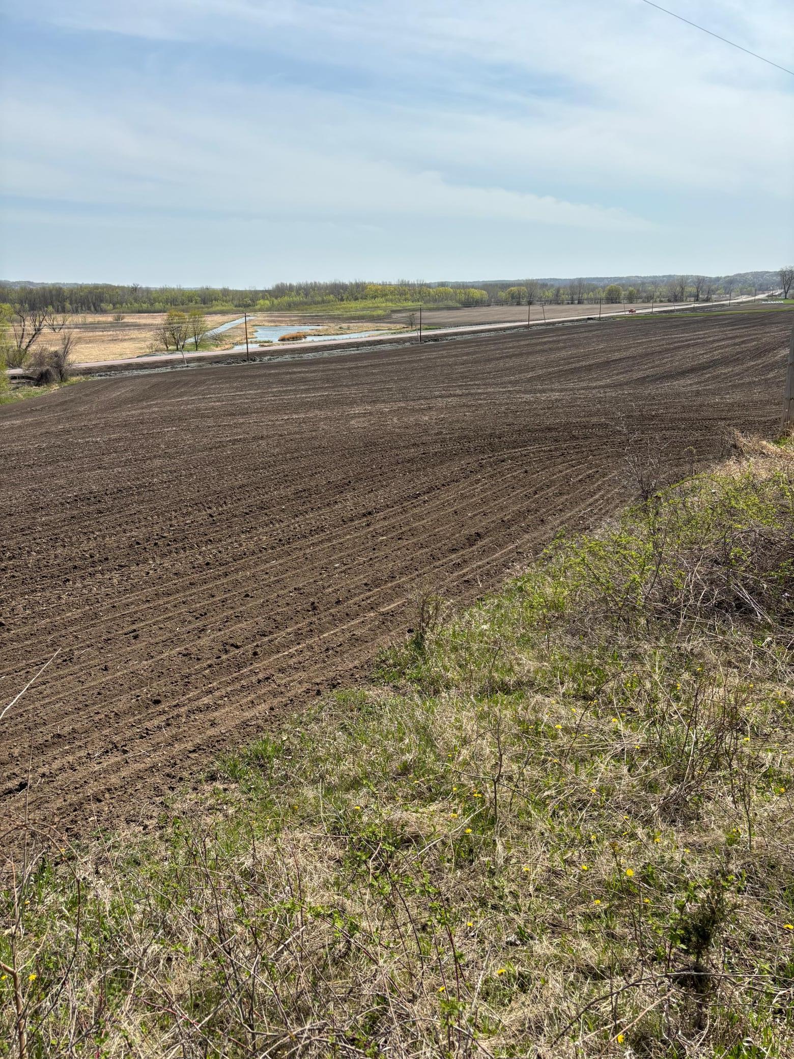 View of Land at 32065 Scenic Byway Road, Henderson MN 56044, Henderson - Mike Wilen | Minnesota Team Real Estate
