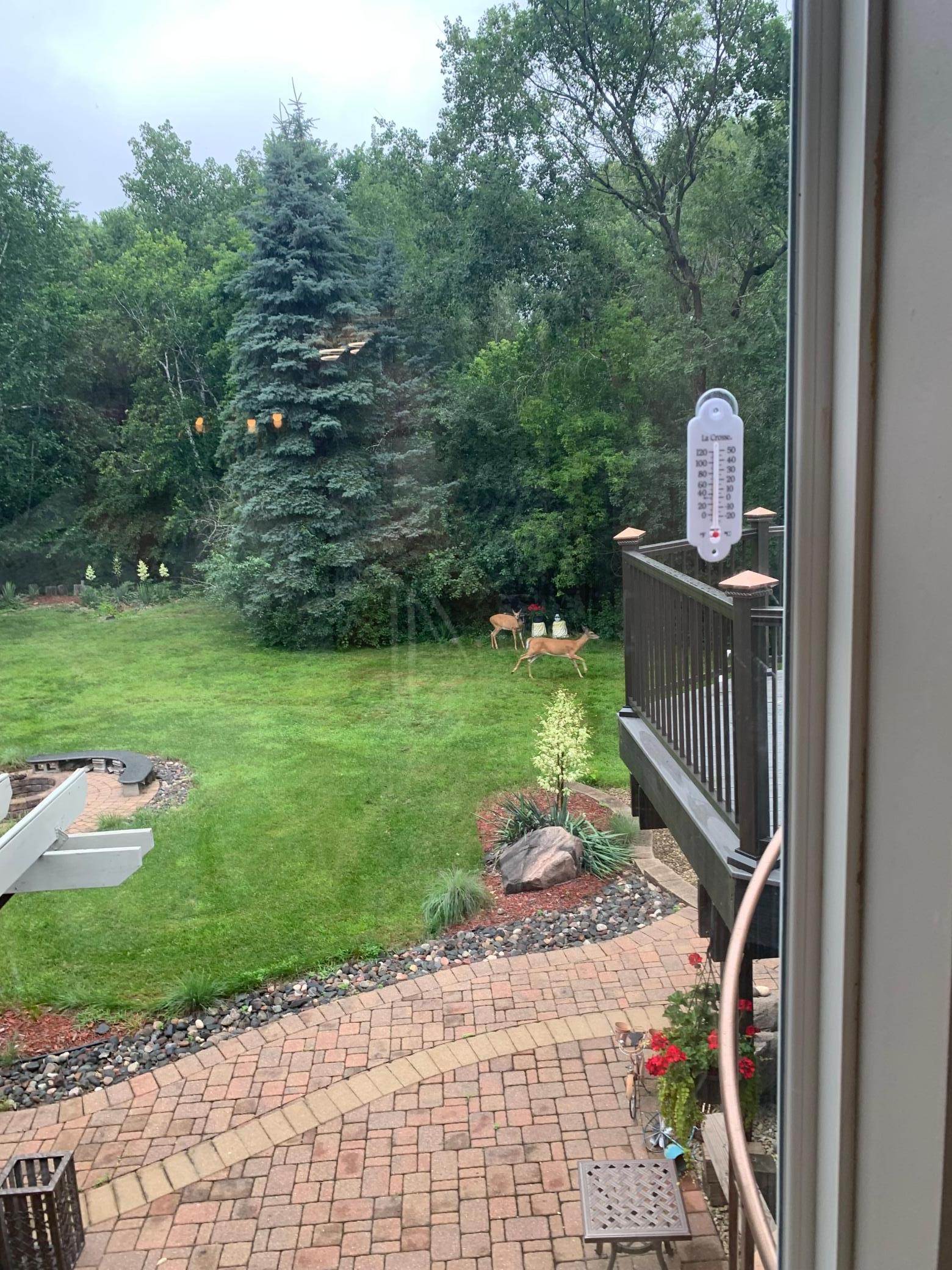 View of Residential at 3901 125th Avenue, Blaine MN 55449, Blaine (22 of 67) - Mike Wilen | Minnesota Team Real Estate