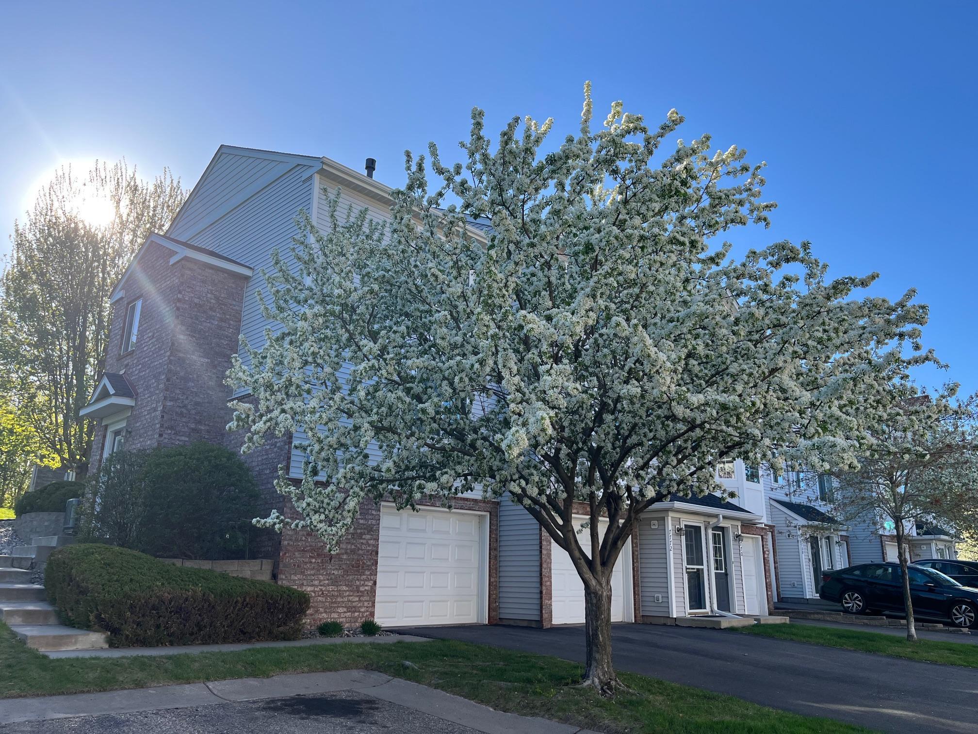 View of Residential at 7774 Village Street, Chanhassen MN 55317, Chanhassen - Mike Wilen | Minnesota Team Real Estate