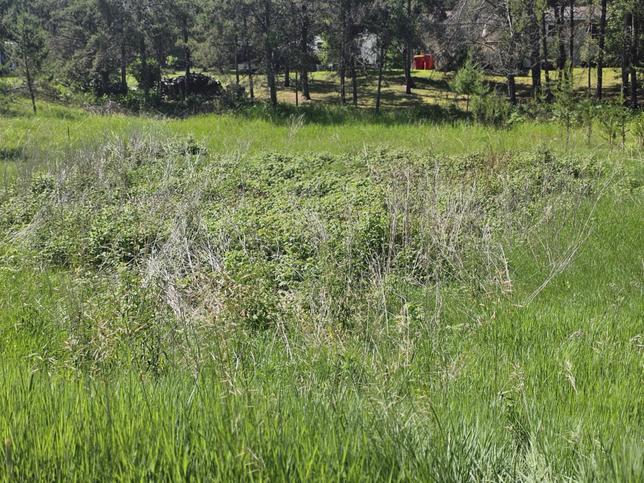 View of Land at tbd 1st Ave, Breezy Point MN 56472, Breezy Point (5 of 7) - Mike Wilen | Minnesota Team Real Estate