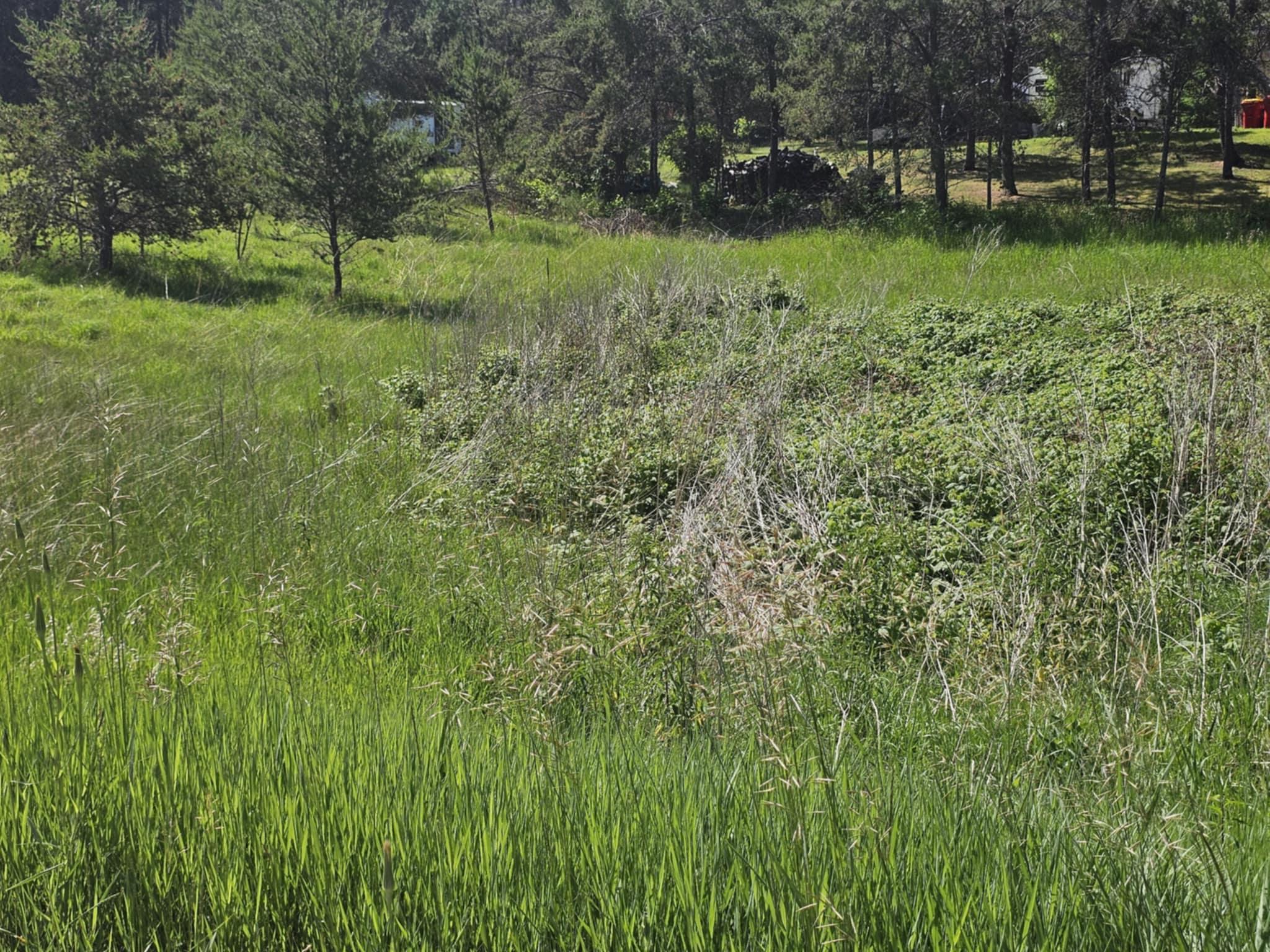 View of Land at tbd 1st Ave, Breezy Point MN 56472, Breezy Point (4 of 7) - Mike Wilen | Minnesota Team Real Estate