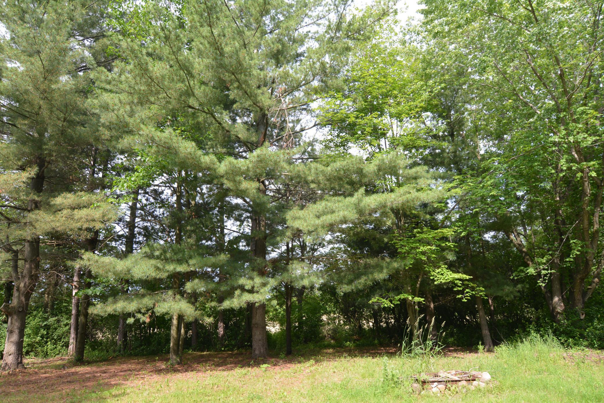 View of Land at 13149 State Highway 23, Milaca MN 56353, Milaca (25 of 27) - Mike Wilen | Minnesota Team Real Estate