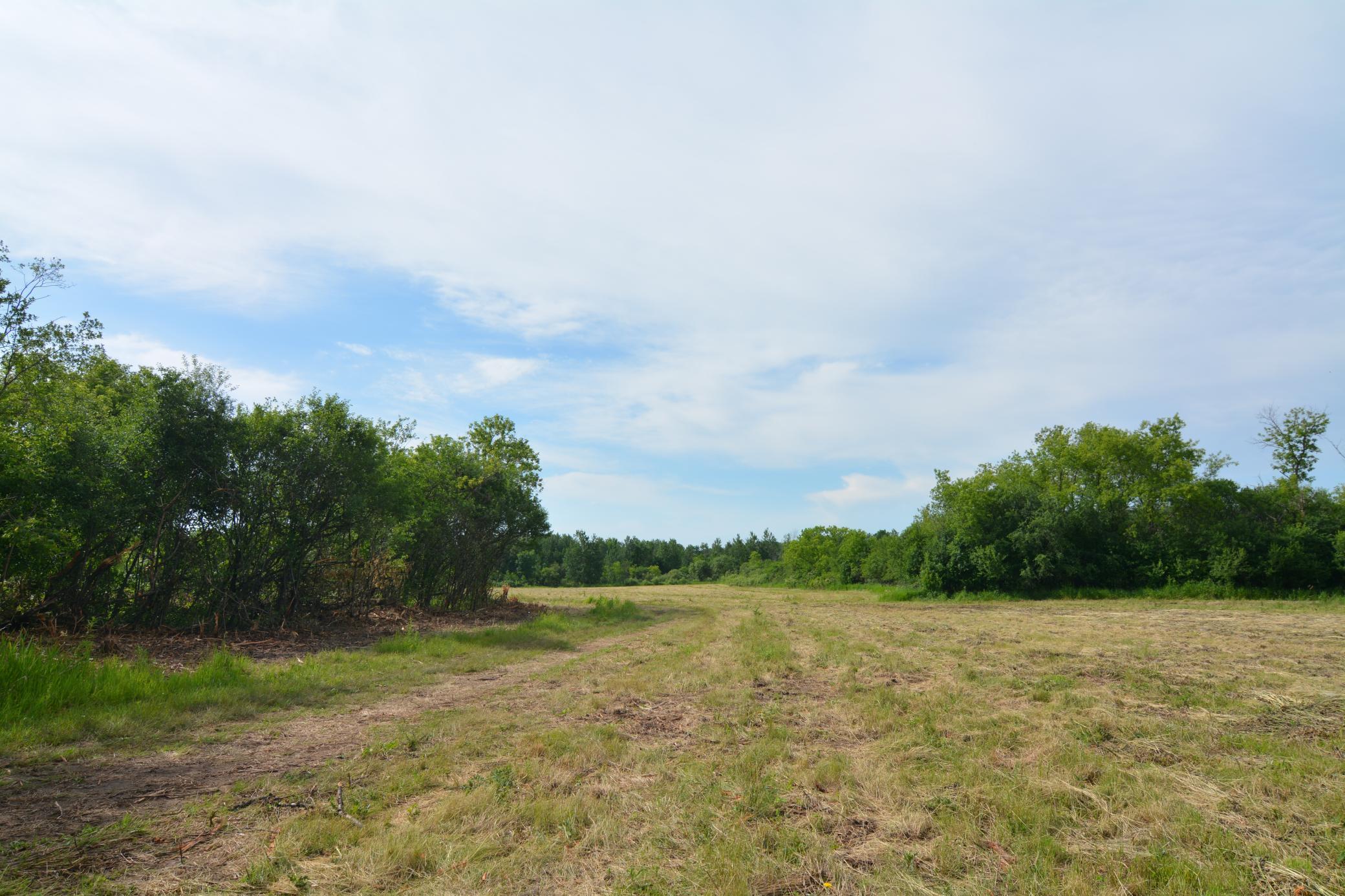 View of Land at 13149 State Highway 23, Milaca MN 56353, Milaca (19 of 27) - Mike Wilen | Minnesota Team Real Estate