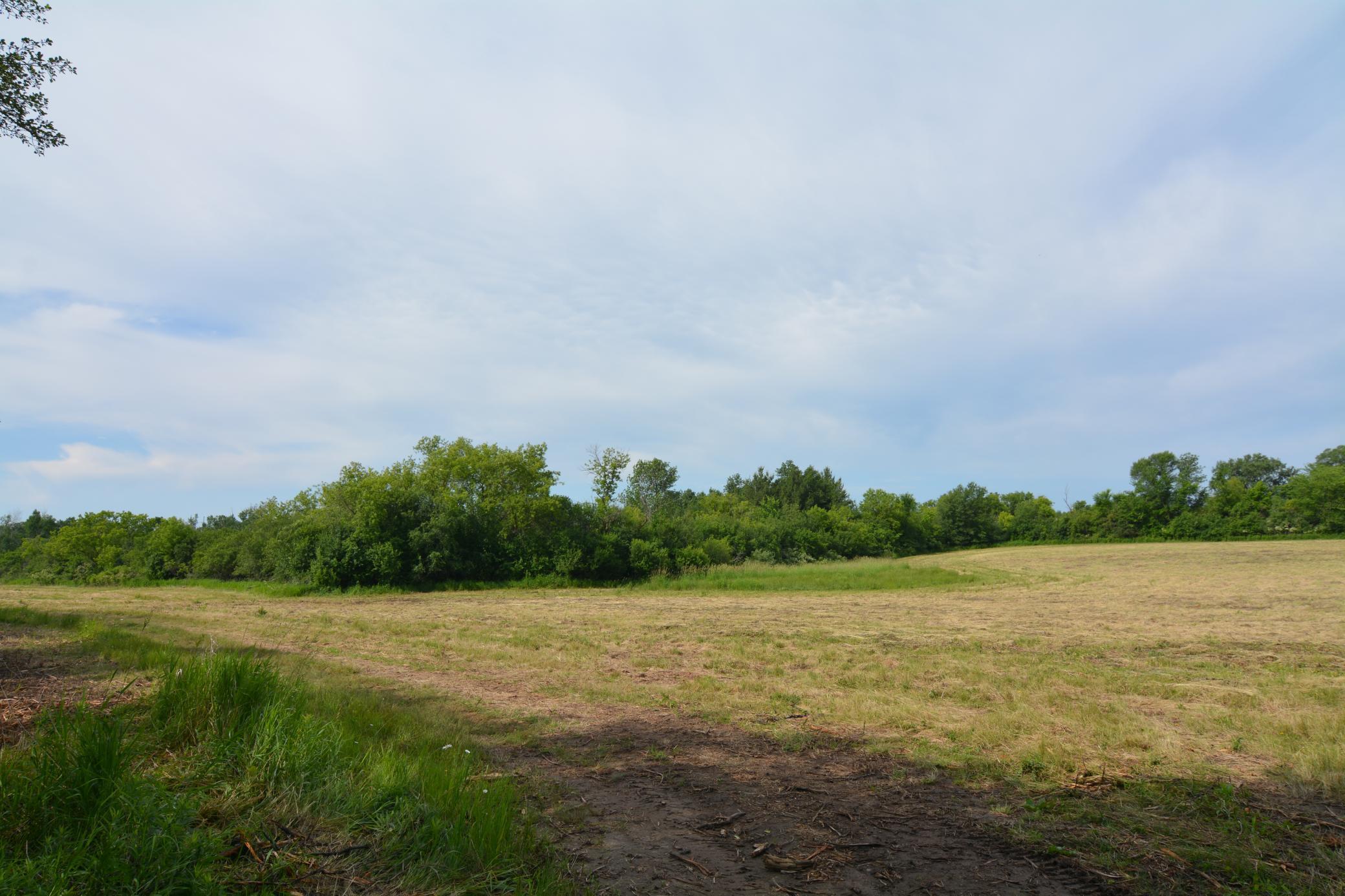 View of Land at 13149 State Highway 23, Milaca MN 56353, Milaca (17 of 27) - Mike Wilen | Minnesota Team Real Estate