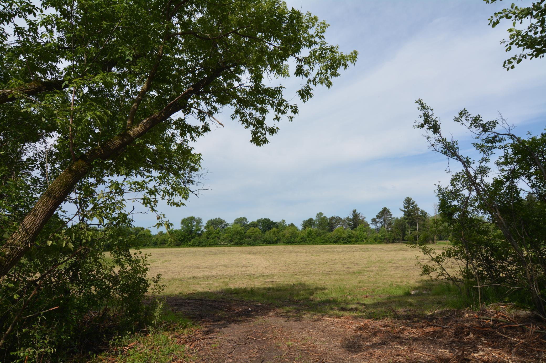 View of Land at 13149 State Highway 23, Milaca MN 56353, Milaca (15 of 27) - Mike Wilen | Minnesota Team Real Estate