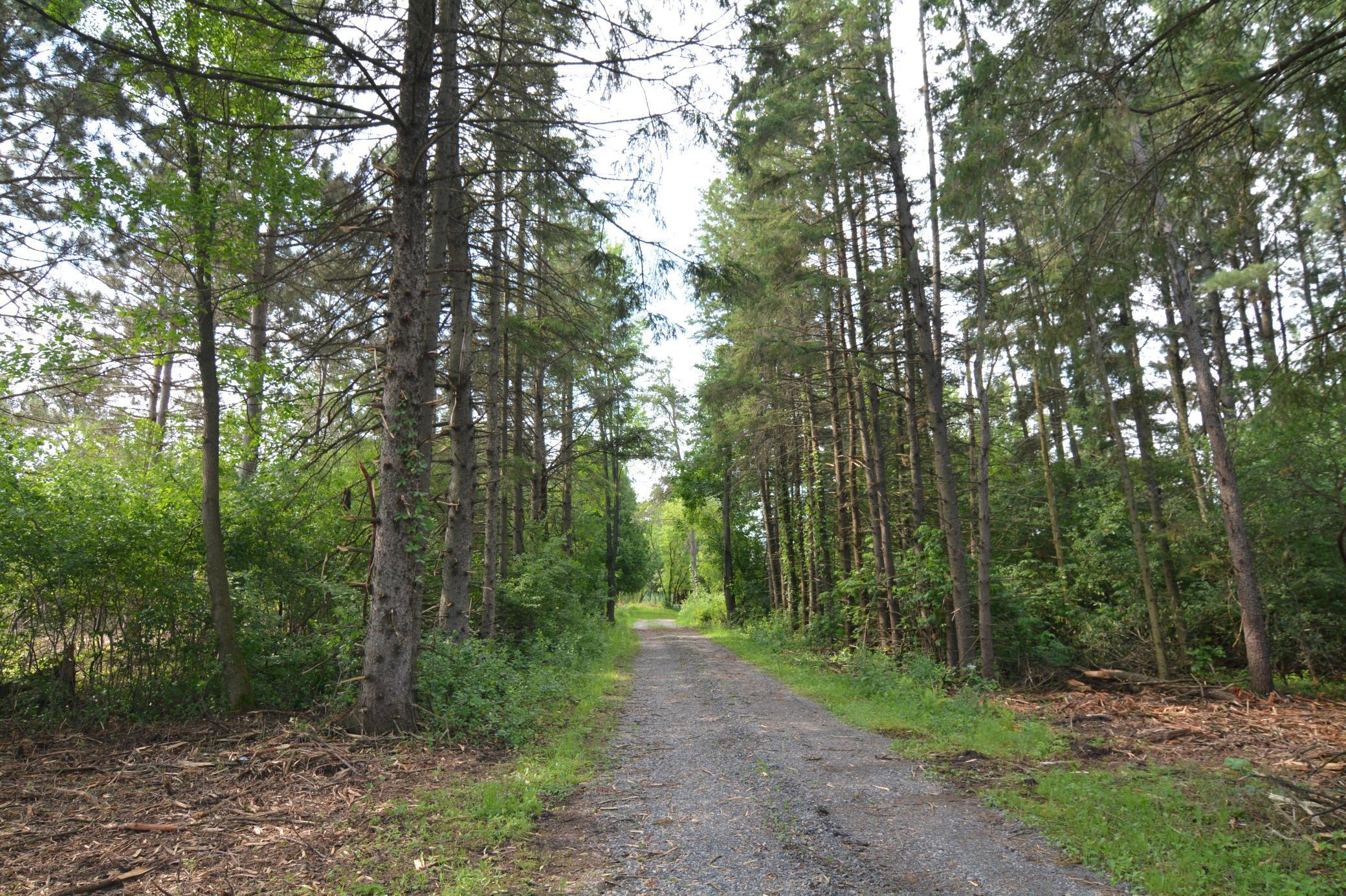 View of Land at 13149 State Highway 23, Milaca MN 56353, Milaca (12 of 27) - Mike Wilen | Minnesota Team Real Estate