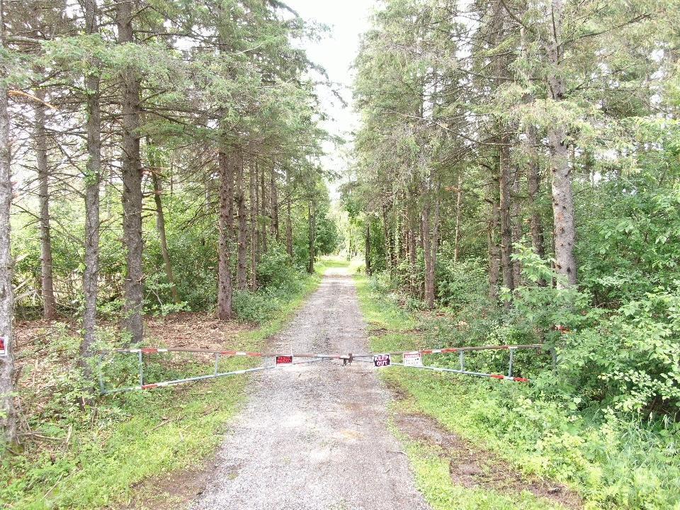 View of Land at 13149 State Highway 23, Milaca MN 56353, Milaca (26 of 27) - Mike Wilen | Minnesota Team Real Estate