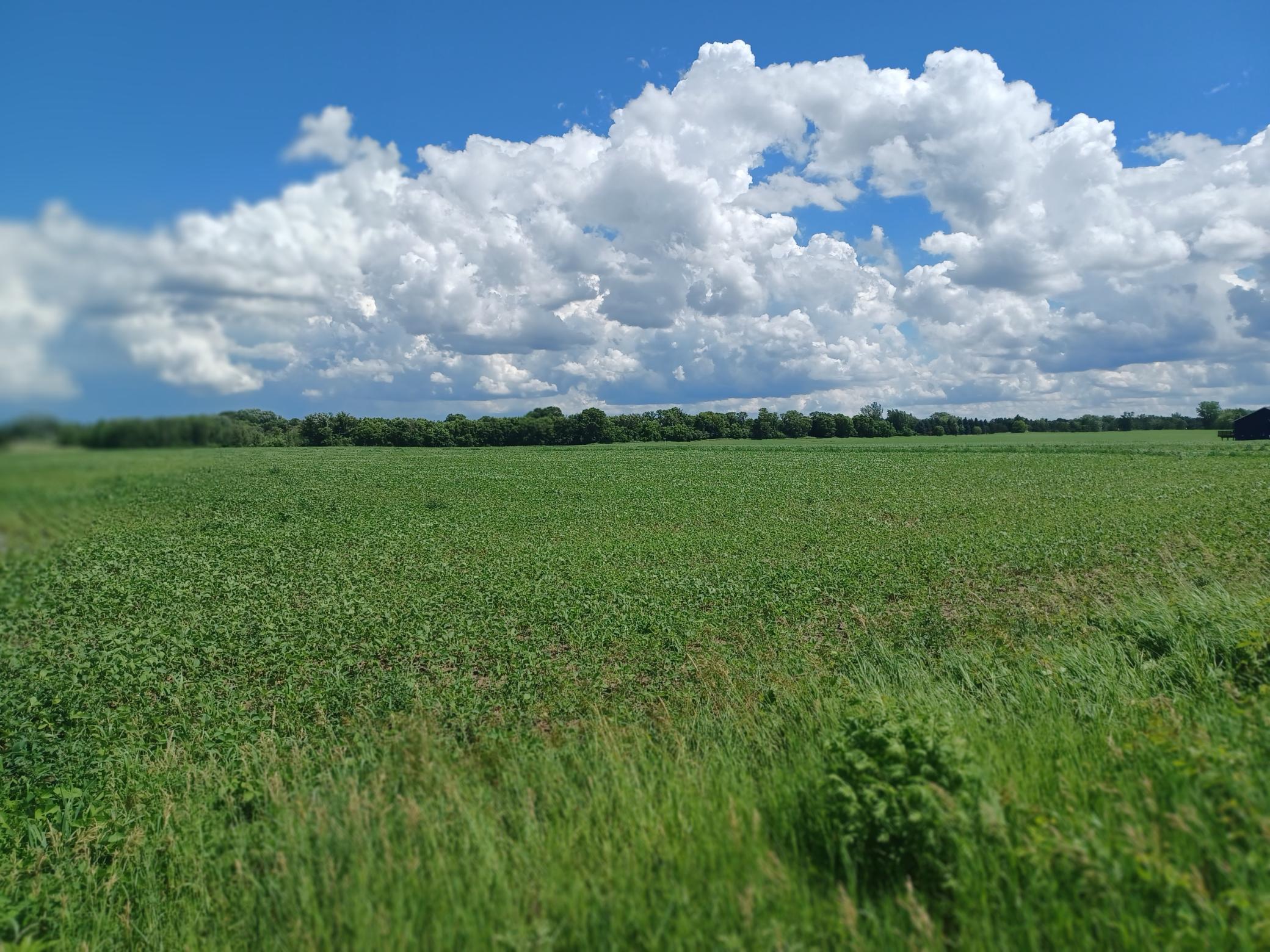 View of Land at 126xx Jody Ave N, Hugo MN 55038, Hugo - Mike Wilen | Minnesota Team Real Estate