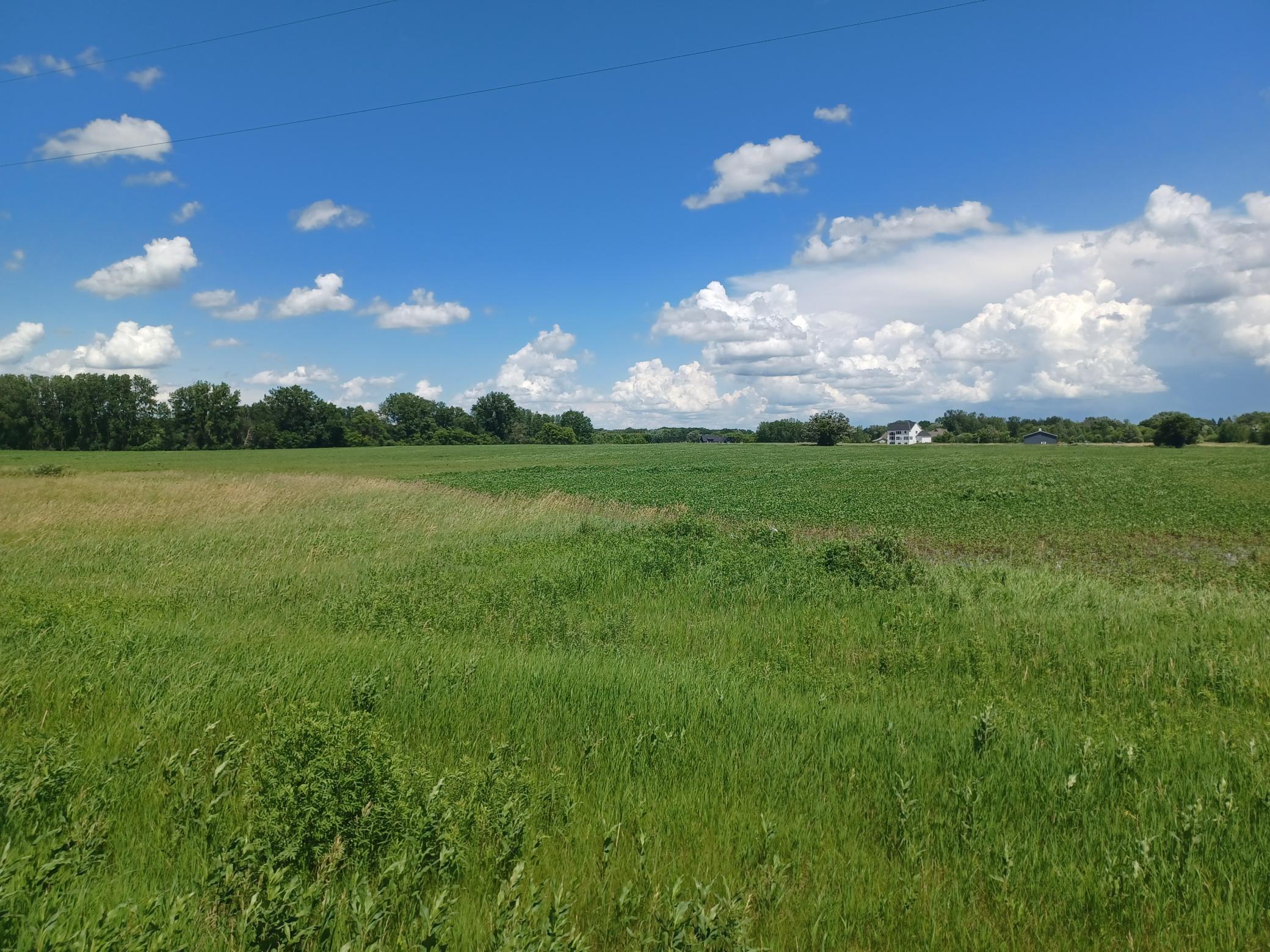 View of Land at 127xx Jody Ave N, Hugo MN 55038, Hugo - Mike Wilen | Minnesota Team Real Estate