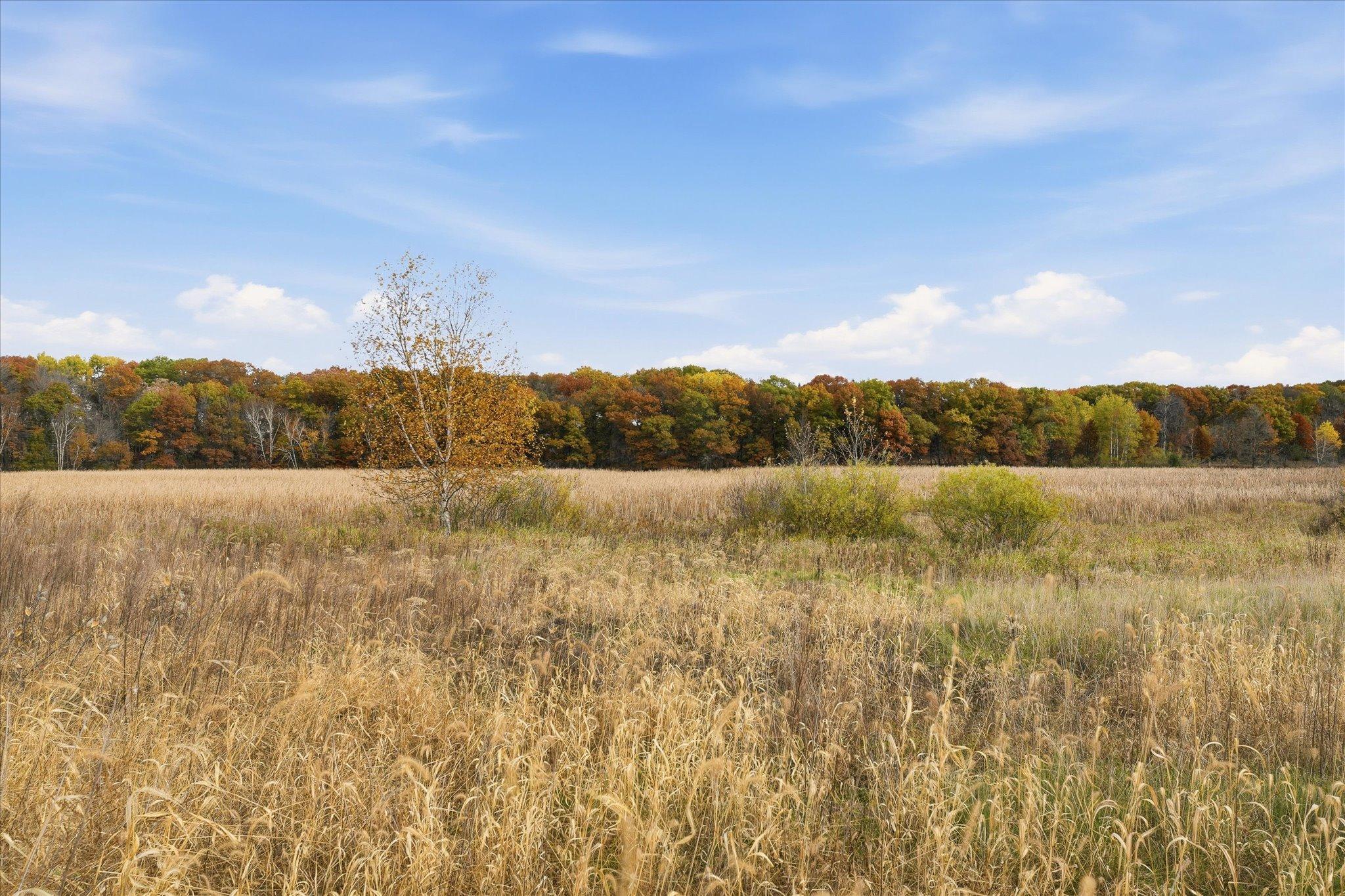 View of Residential at 21795 Willys Street, East Bethel MN 55011, East Bethel (43 of 43) - Mike Wilen | Minnesota Team Real Estate